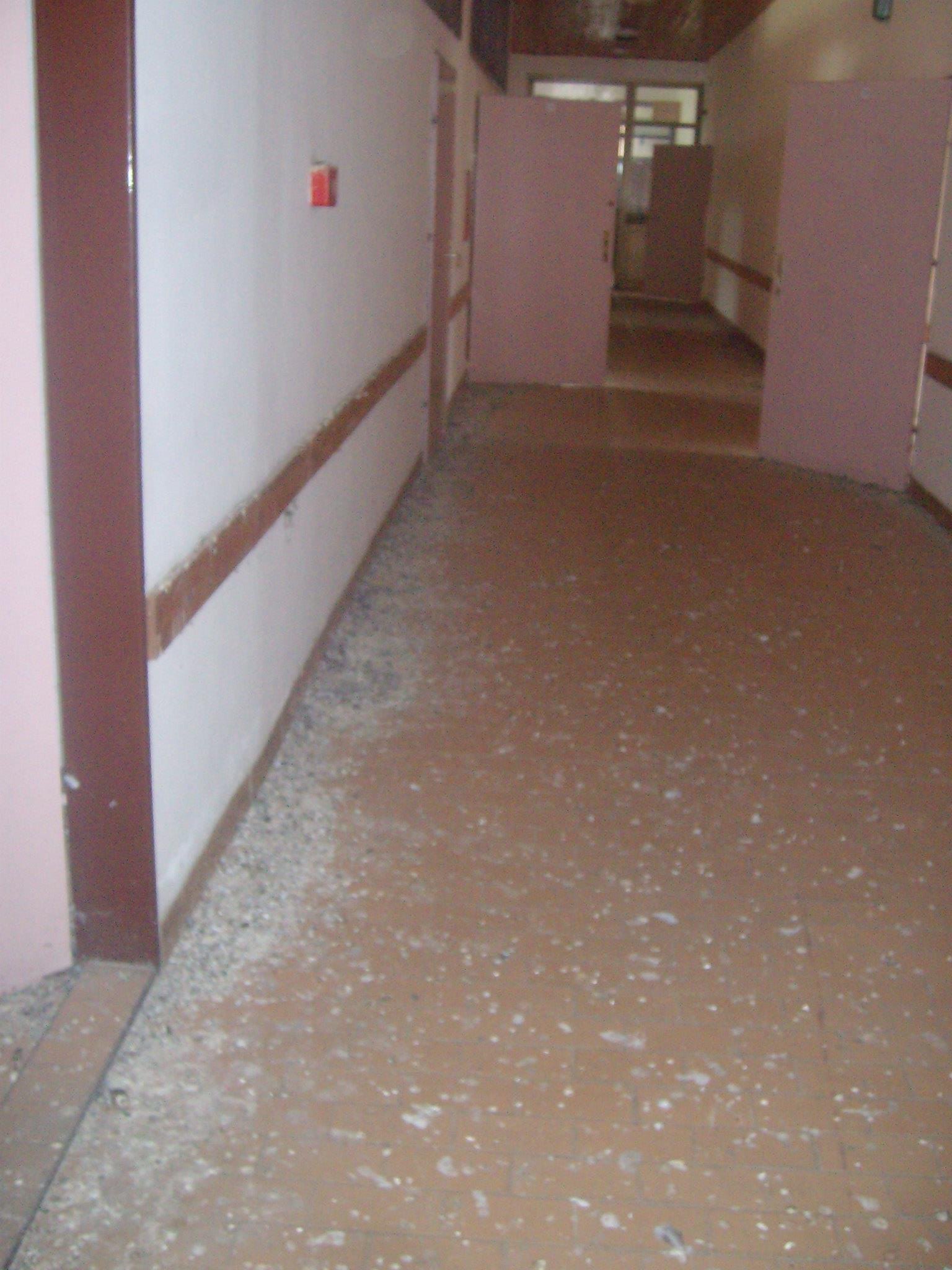 462886166_8778078098880475_3191493000679702595_n