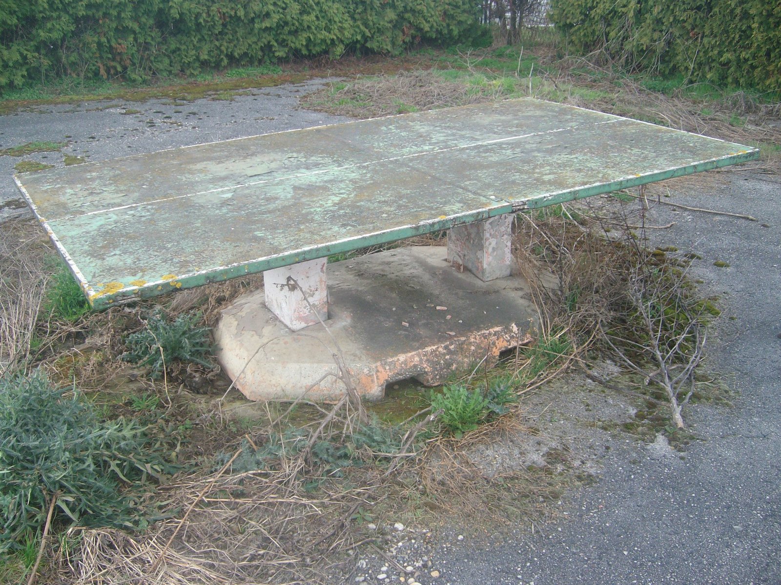 462890952_8778072948880990_2257320784033007002_n