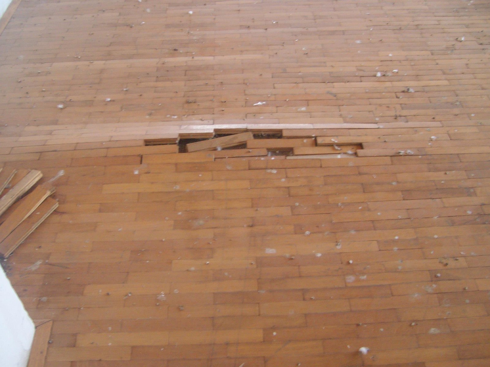 462914105_8778078105547141_3442106029873097035_n