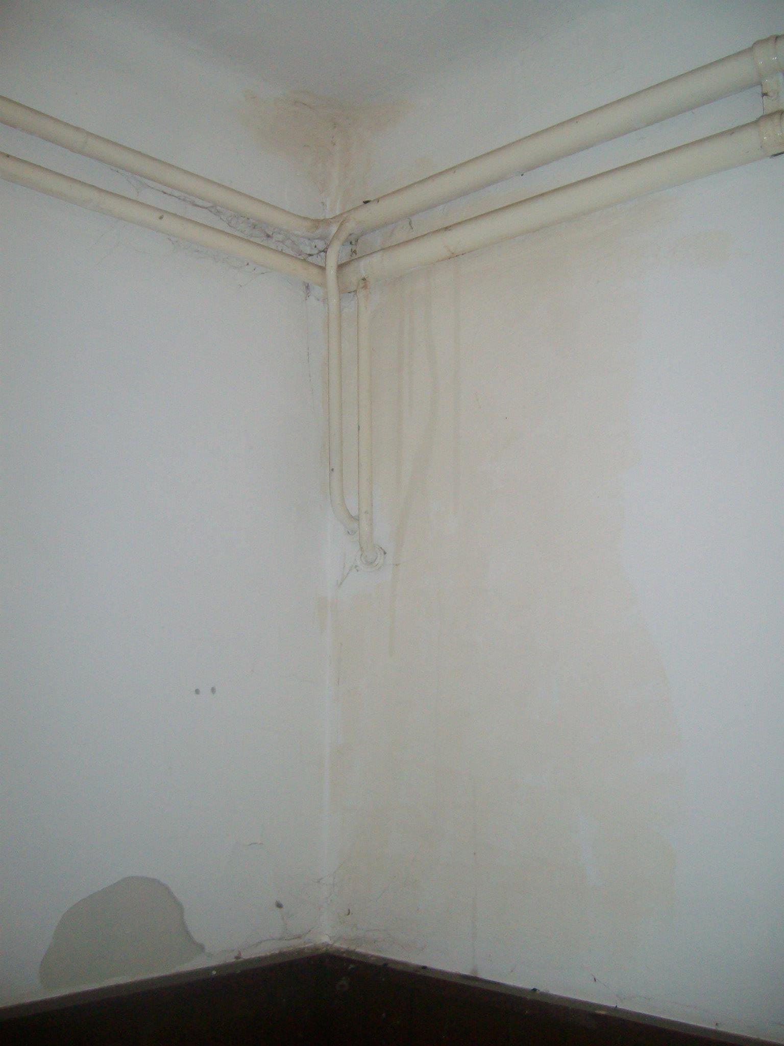 462914717_8778072205547731_2667263110320649462_n