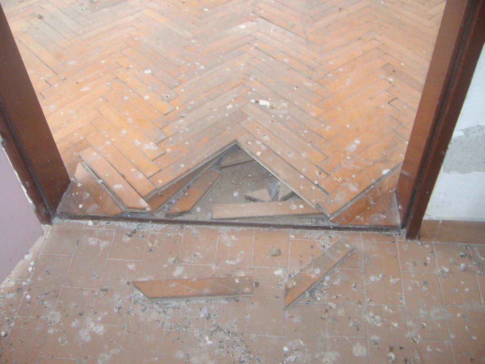 462914717_8778078078880477_5695550394837859554_n