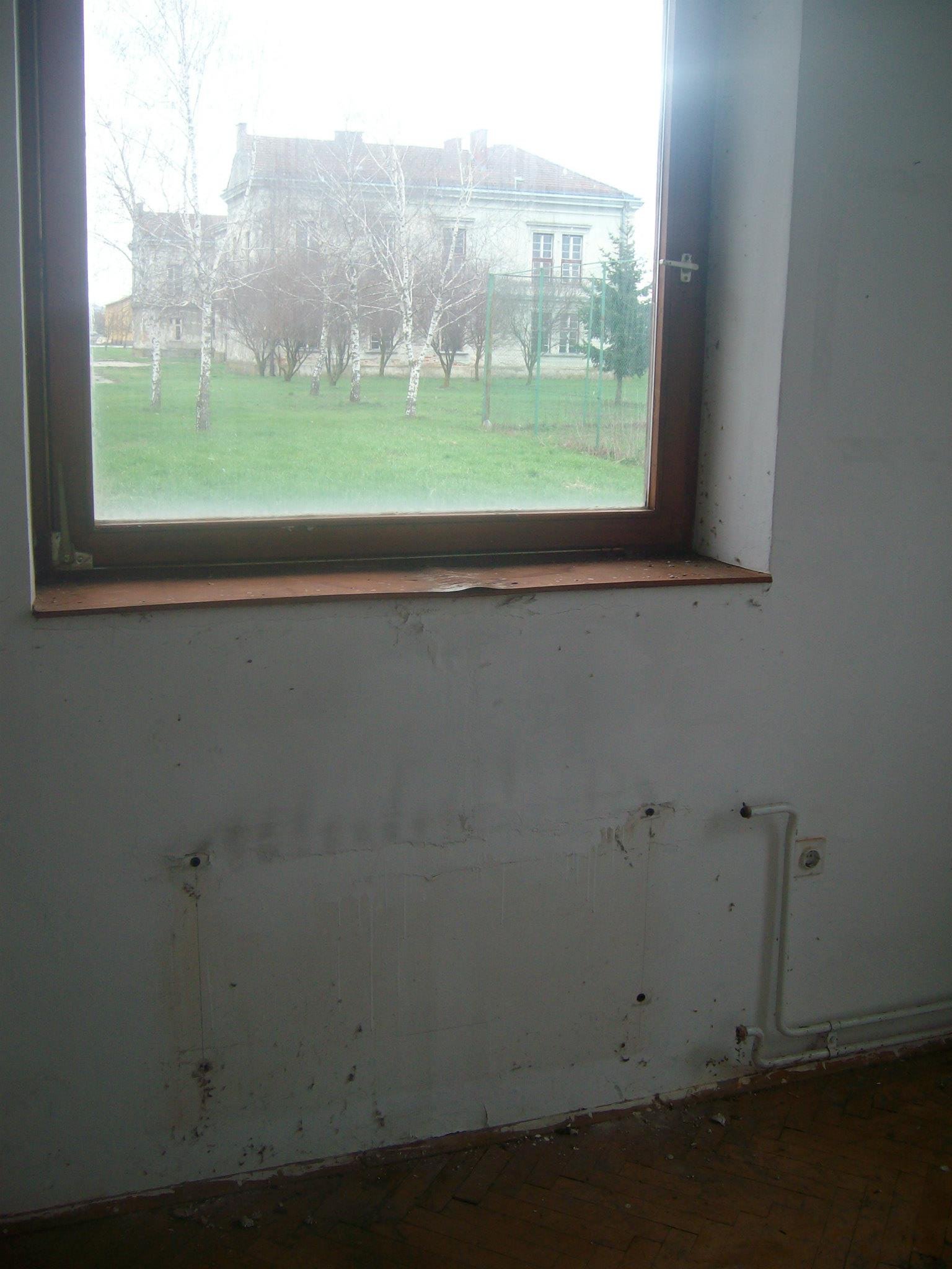 462928762_8778071858881099_924209588434760641_n