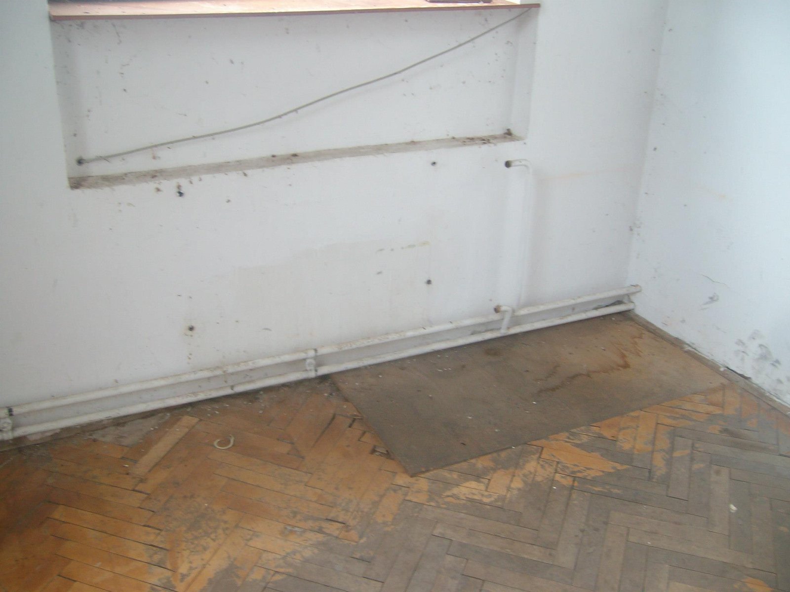 463025361_8778072218881063_3694388398759899176_n