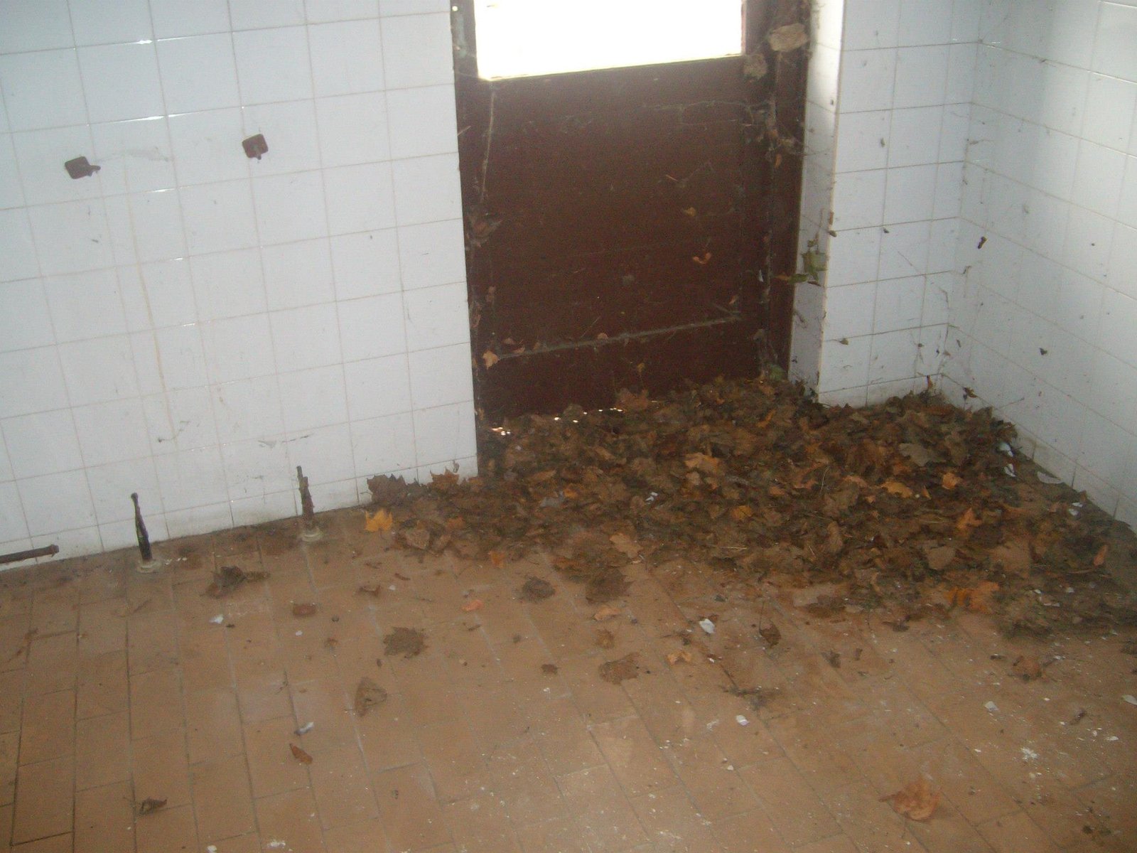 463045125_8778076828880602_4841928498827269418_n