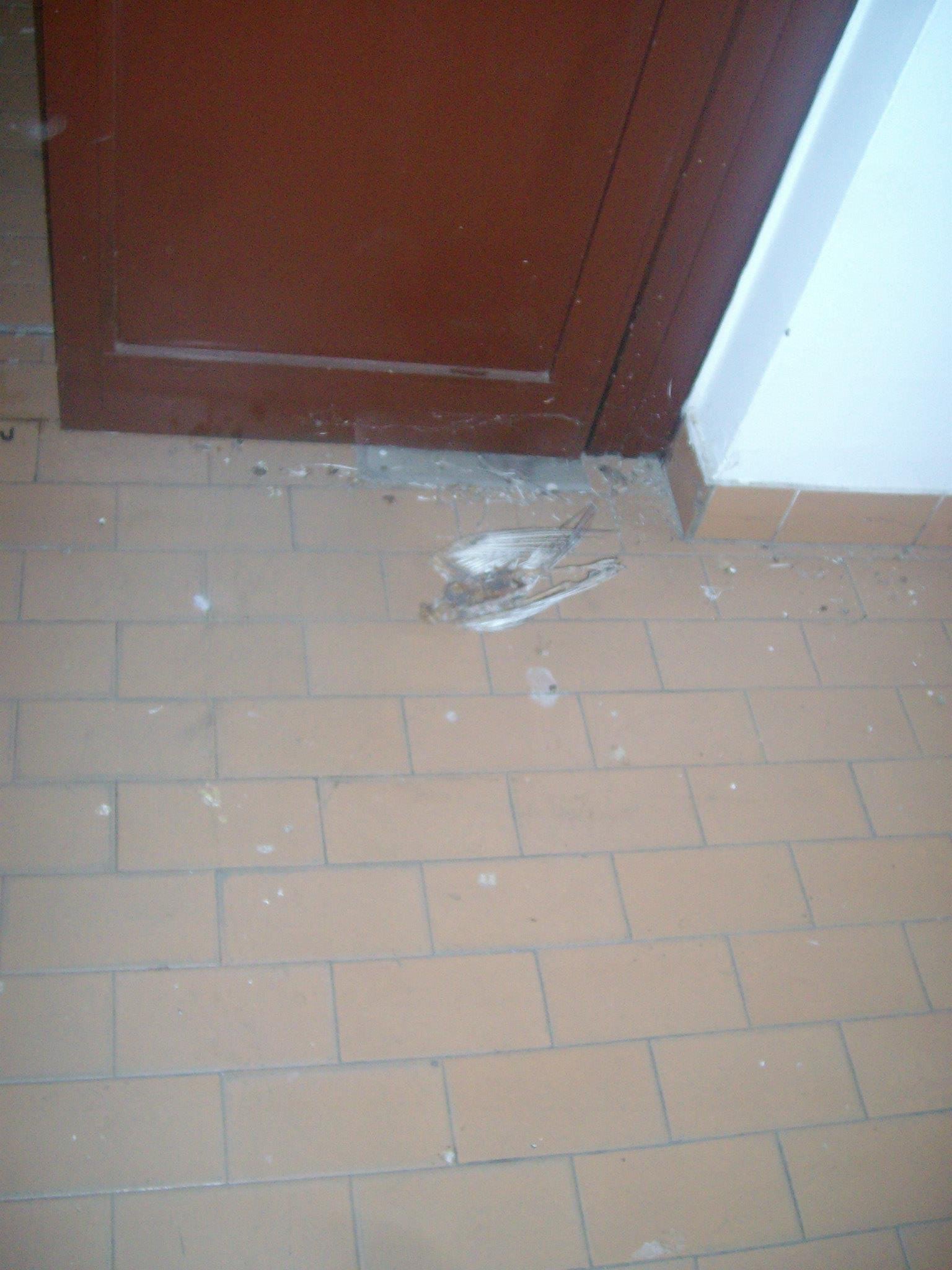 463047680_8778078075547144_3608313836617738557_n