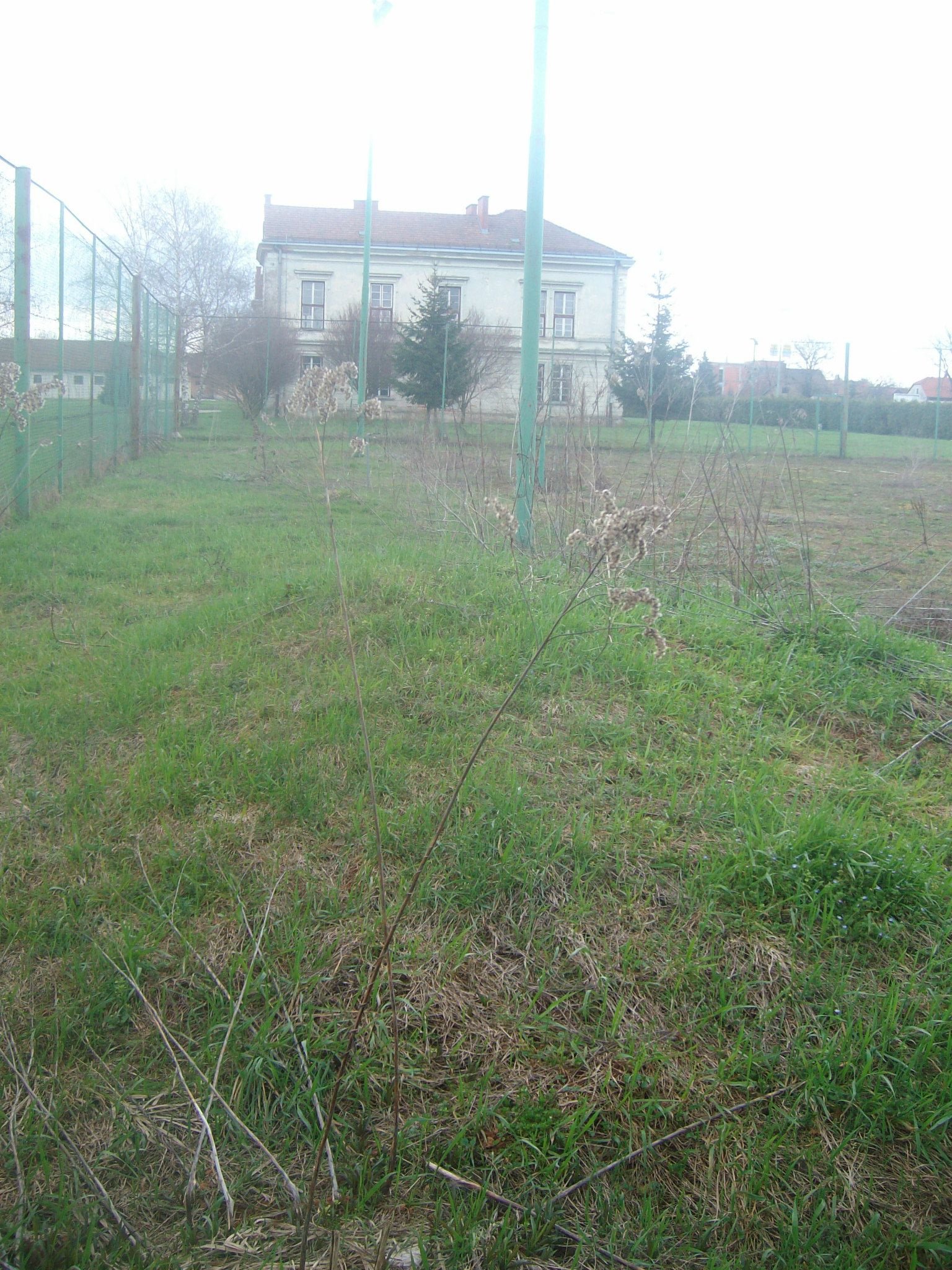 463048449_8778075692214049_2977792523870914946_n