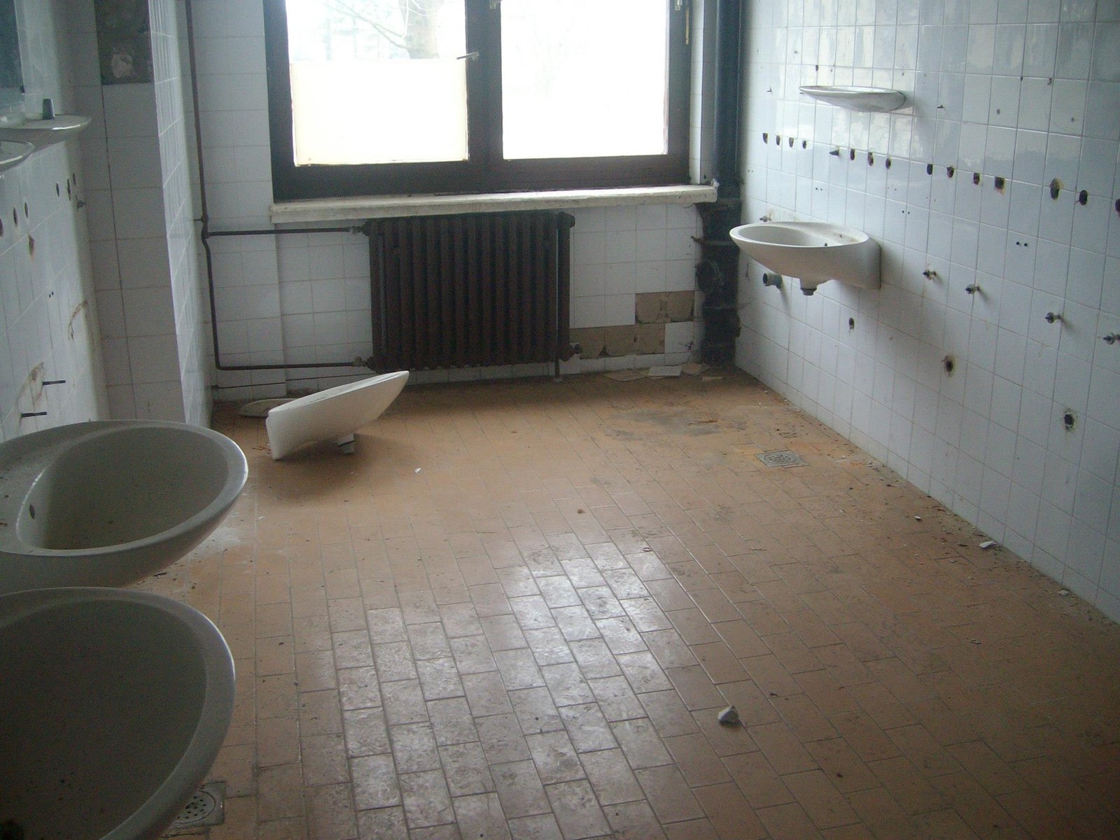 463049039_8778076835547268_9147555467470629507_n