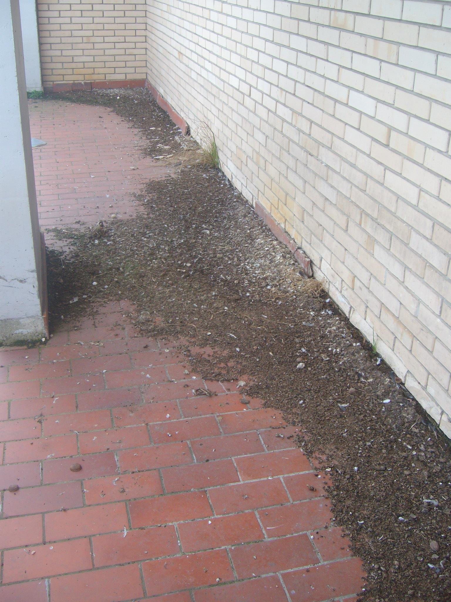 463049637_8778078558880429_4336563184627650148_n