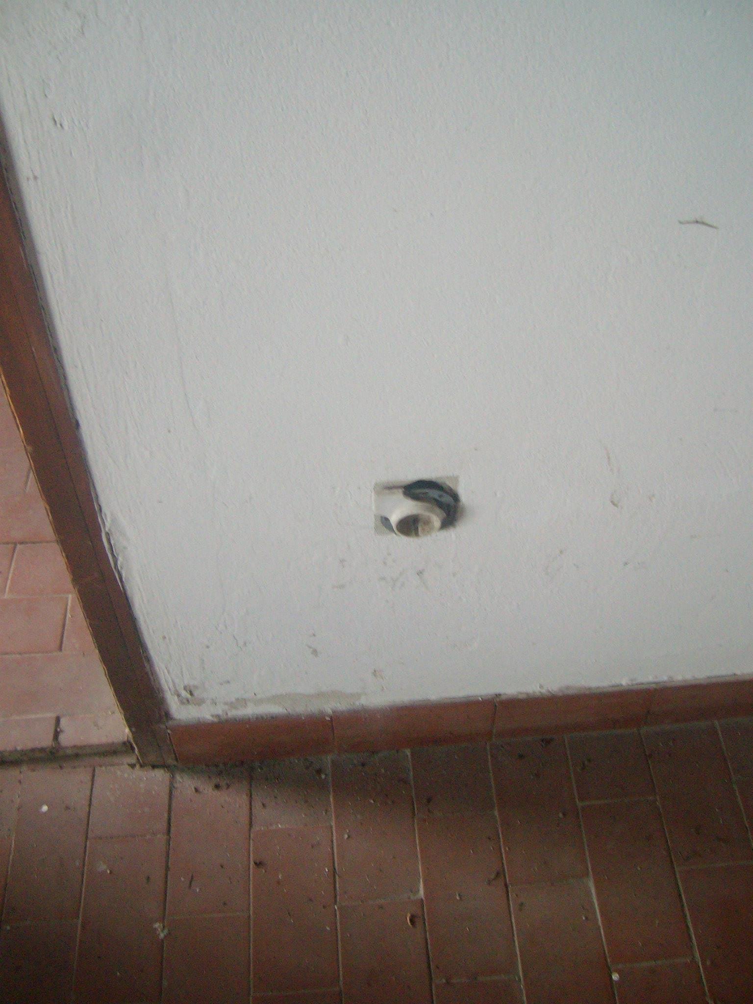 463072594_8778072578881027_1684113363092339368_n