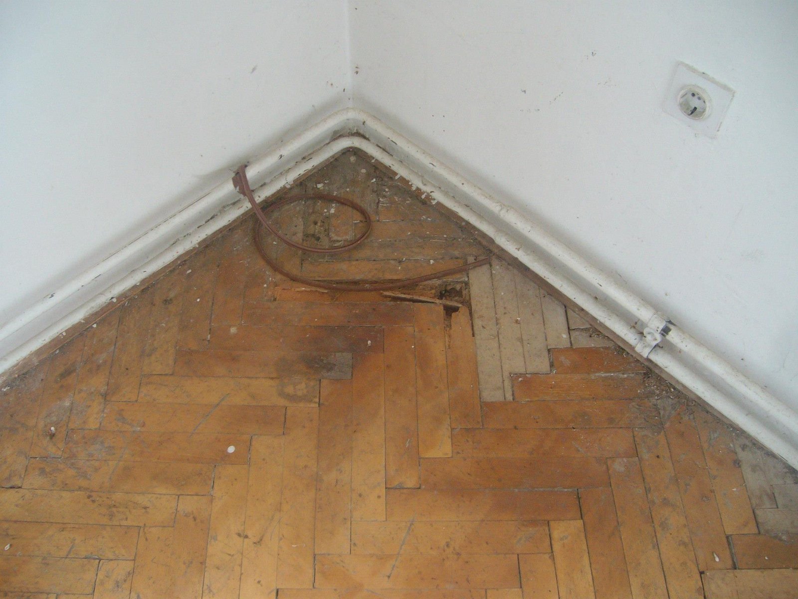 463080228_8778072202214398_2288014320211989404_n