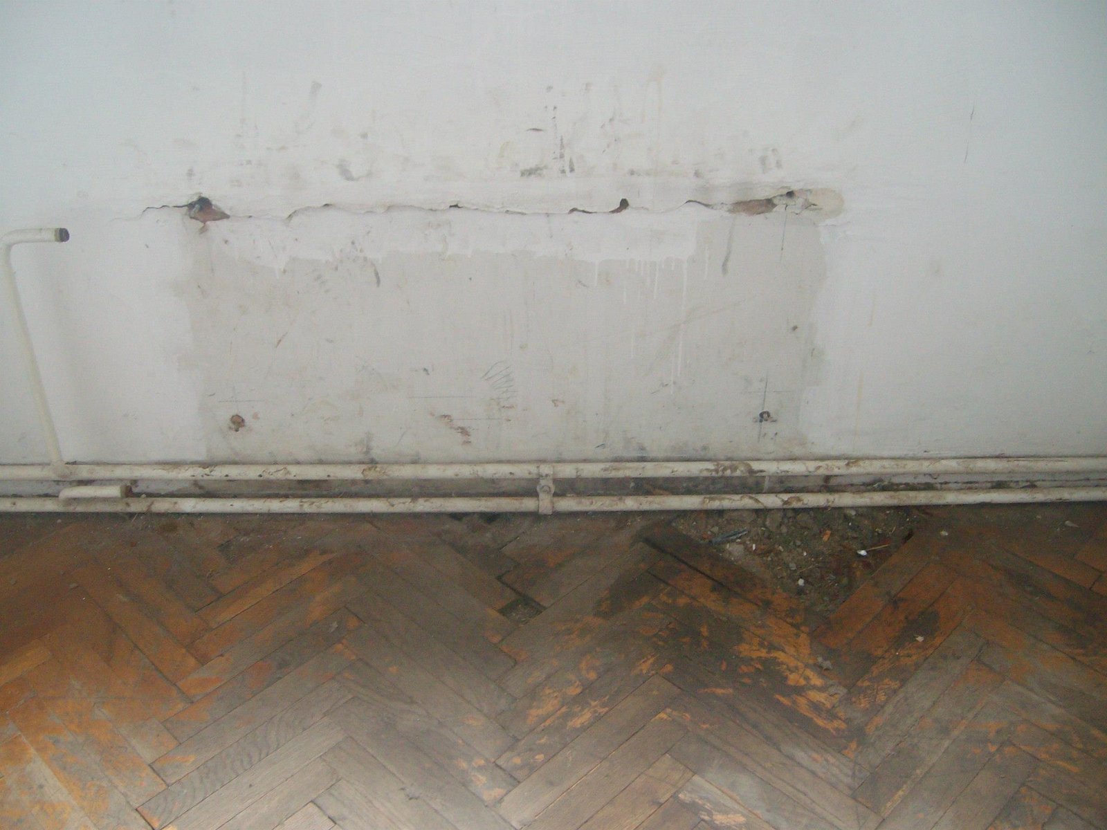 463080950_8778072222214396_3906808620808340696_n