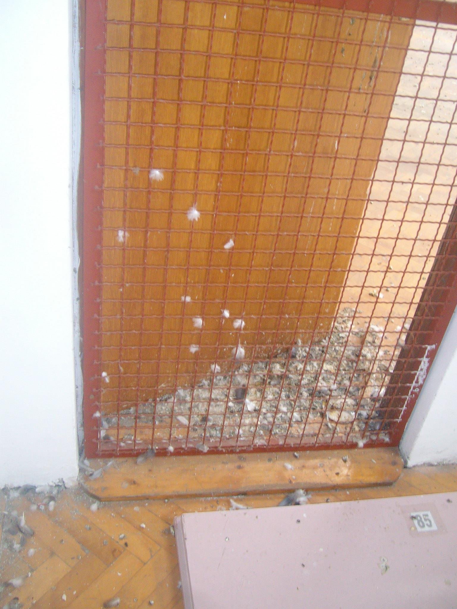 463081224_8778077235547228_688494680952690500_n