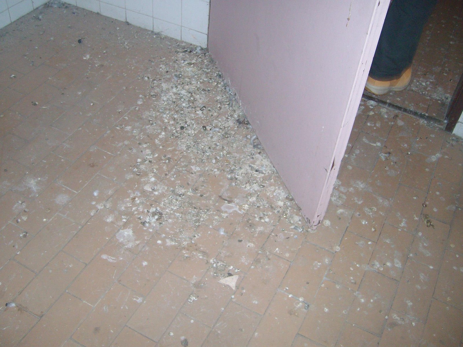 463109572_8778078072213811_3979059212607686535_n