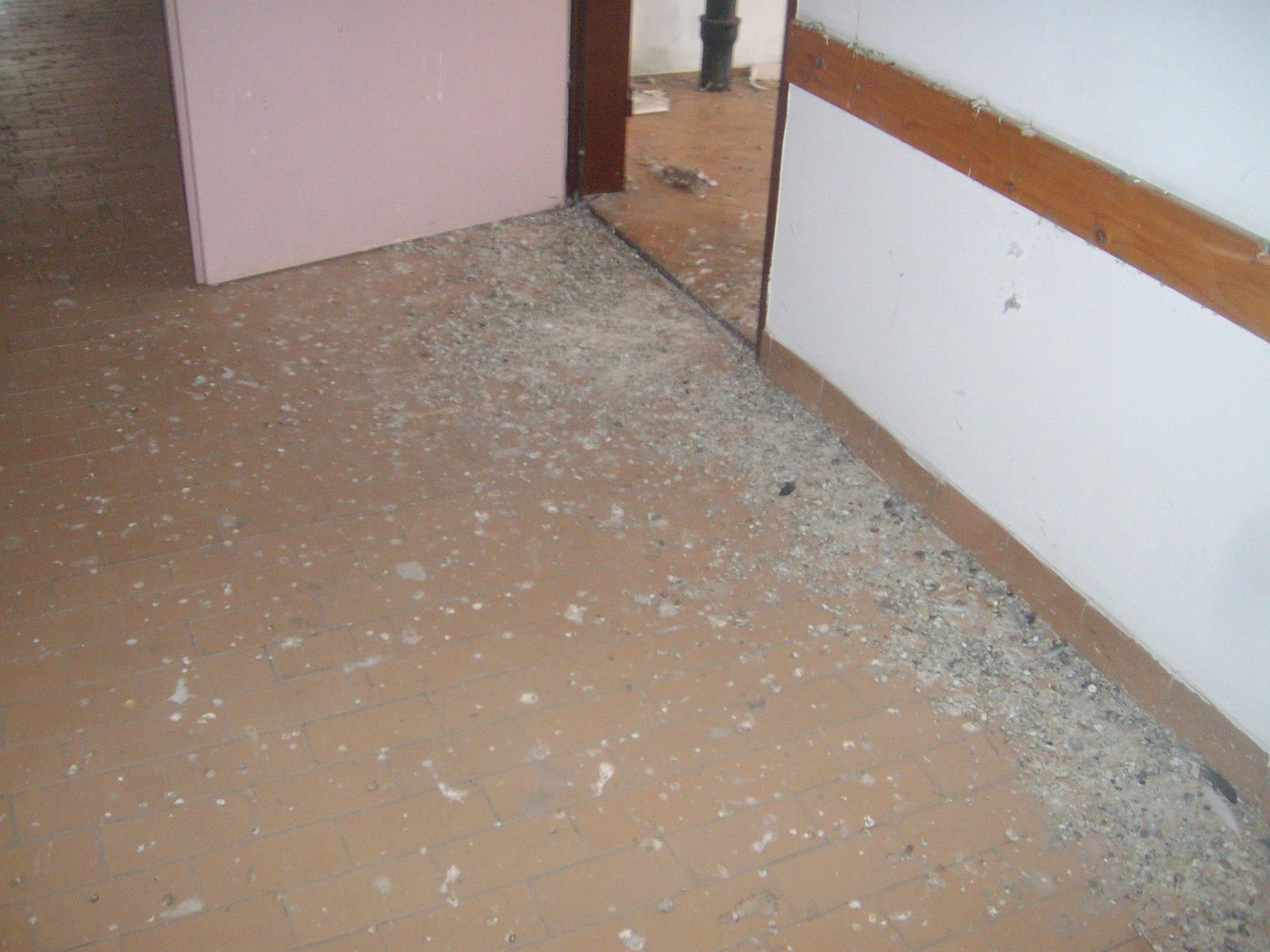 463109973_8778077248880560_1227148691455177513_n