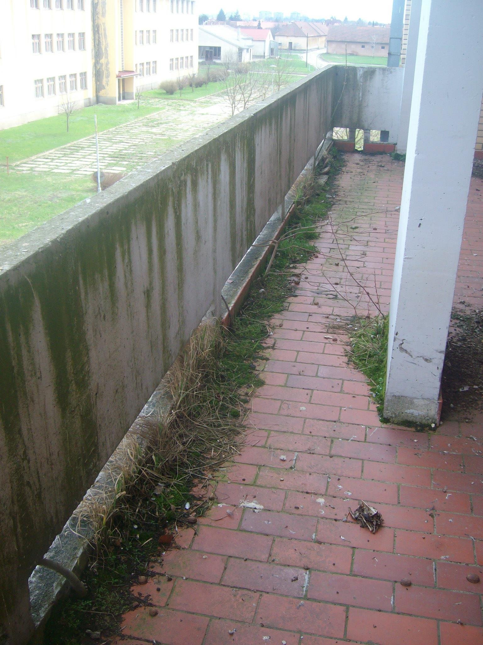 463111490_8778078552213763_3830927590637087164_n