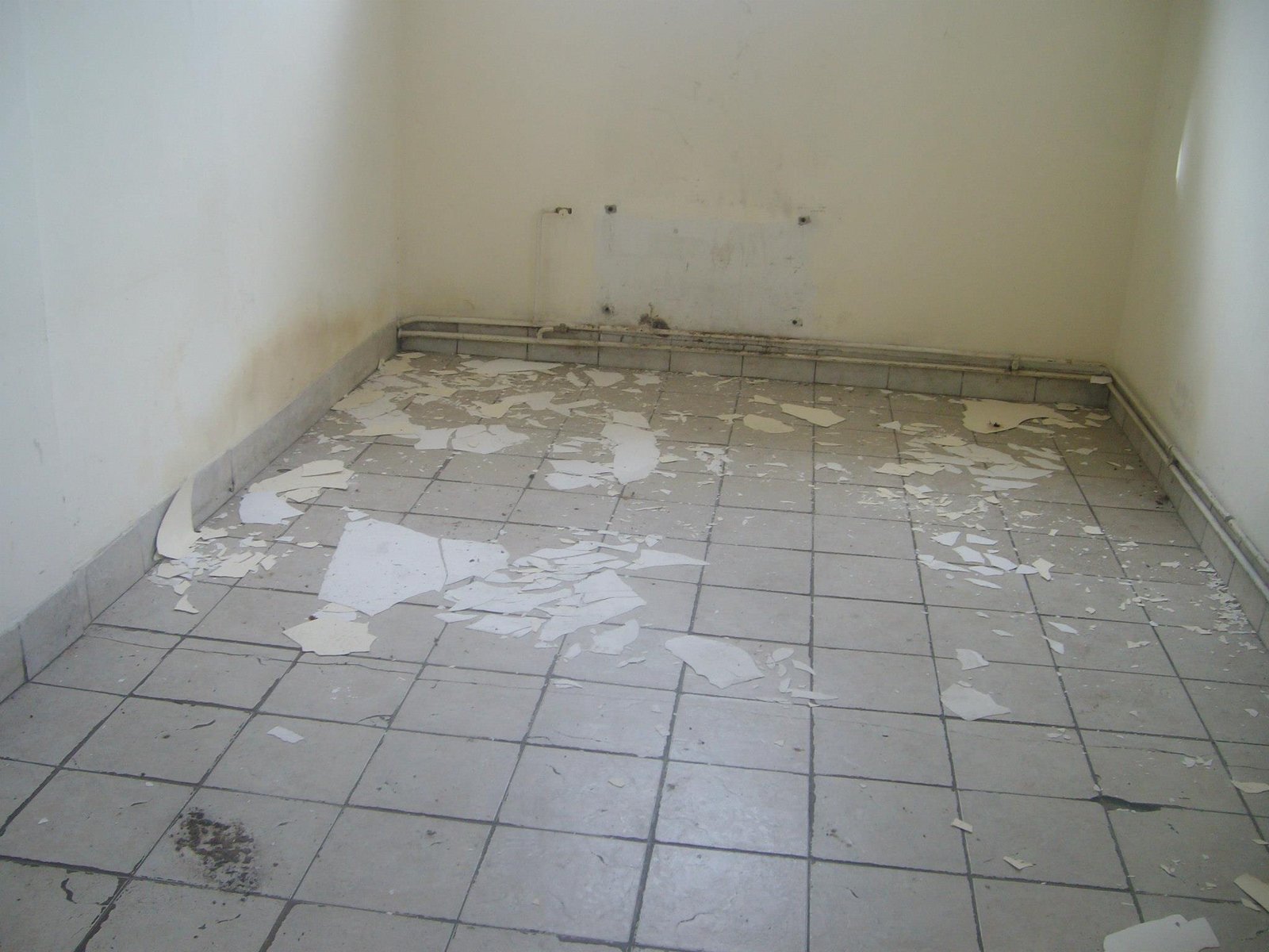 463233020_8778072582214360_5280249509798417864_n