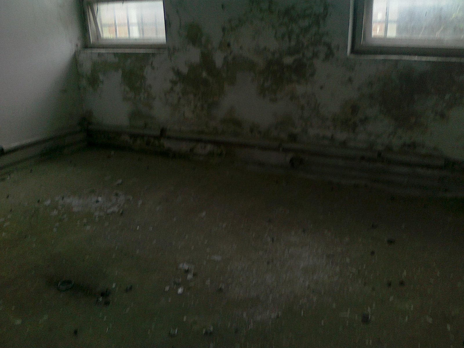 463238040_8784443644910587_1834609750001085392_n