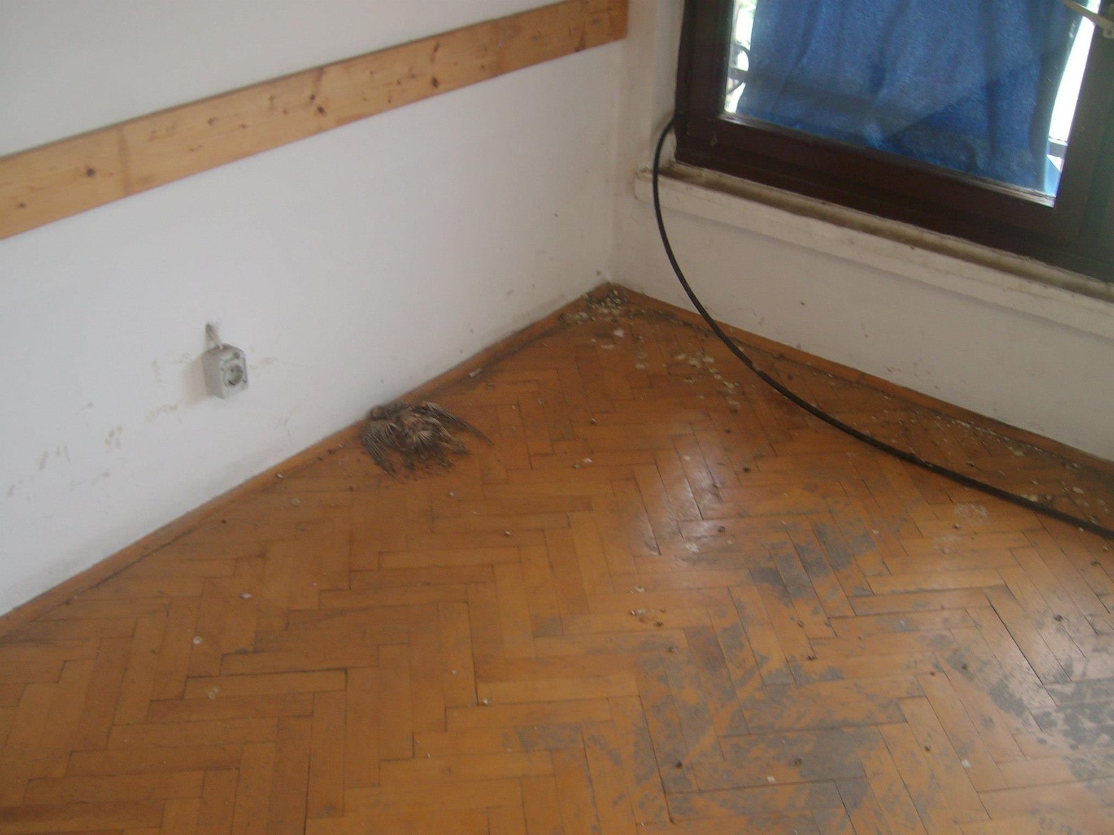 463240746_8778077245547227_3557920583585737070_n