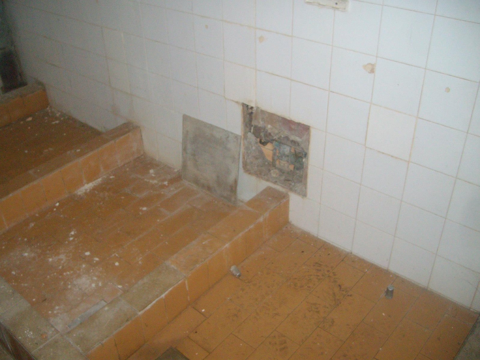 463255162_8778076815547270_1595000078182947339_n