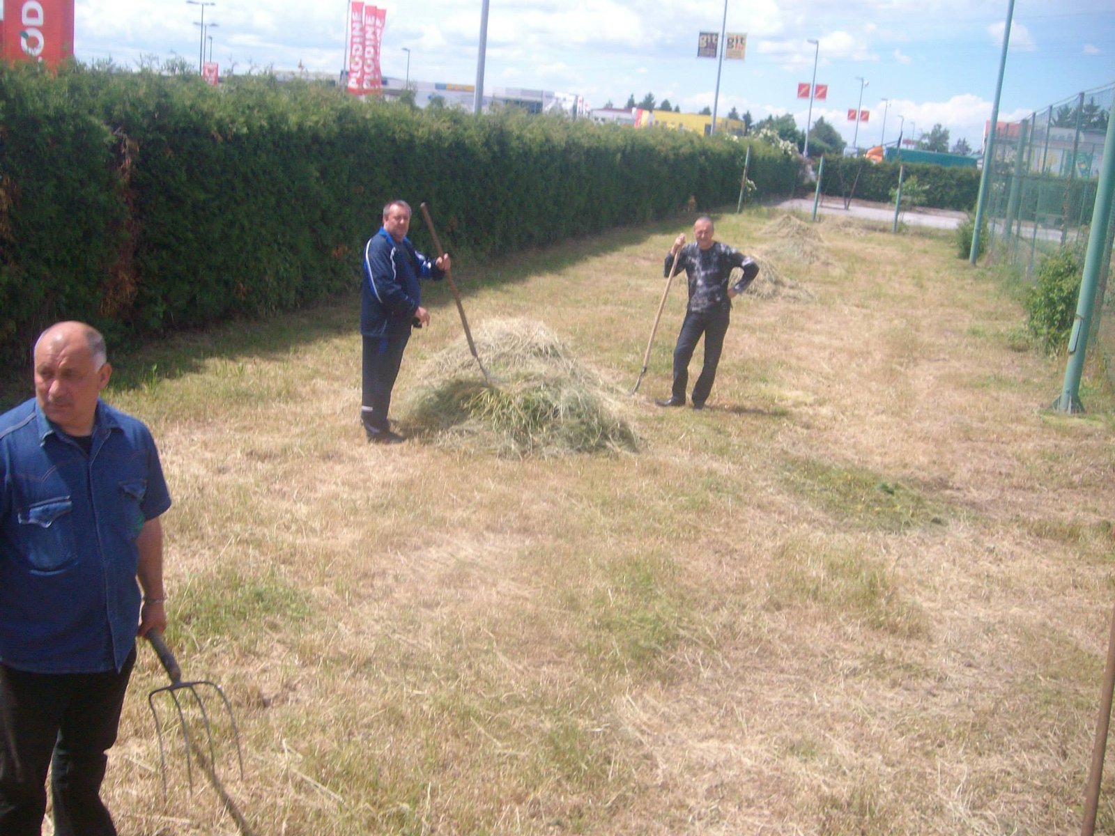 463332856_8782767868411498_1636491100426002570_n