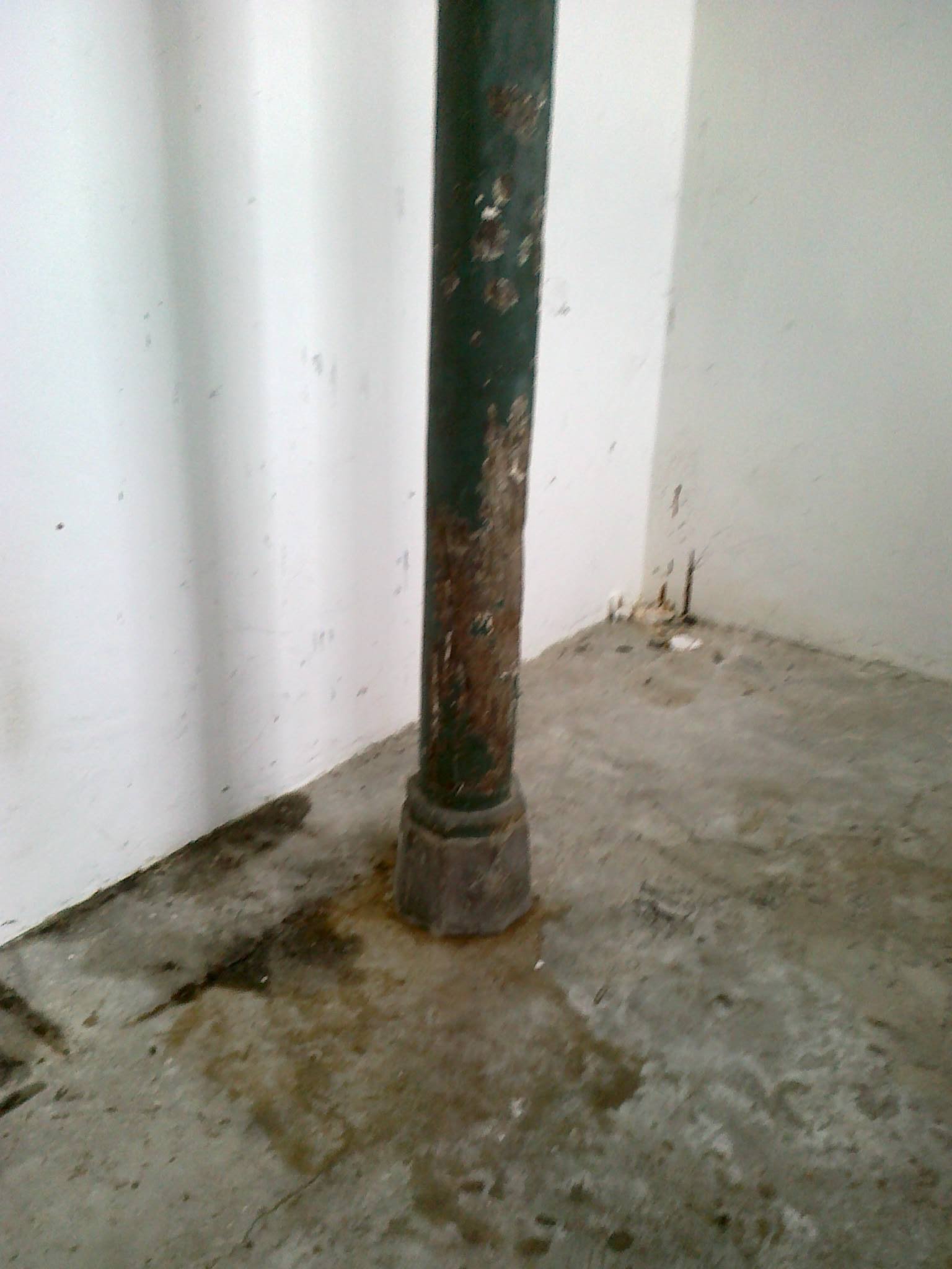 463395894_8784443418243943_3876358906672380703_n