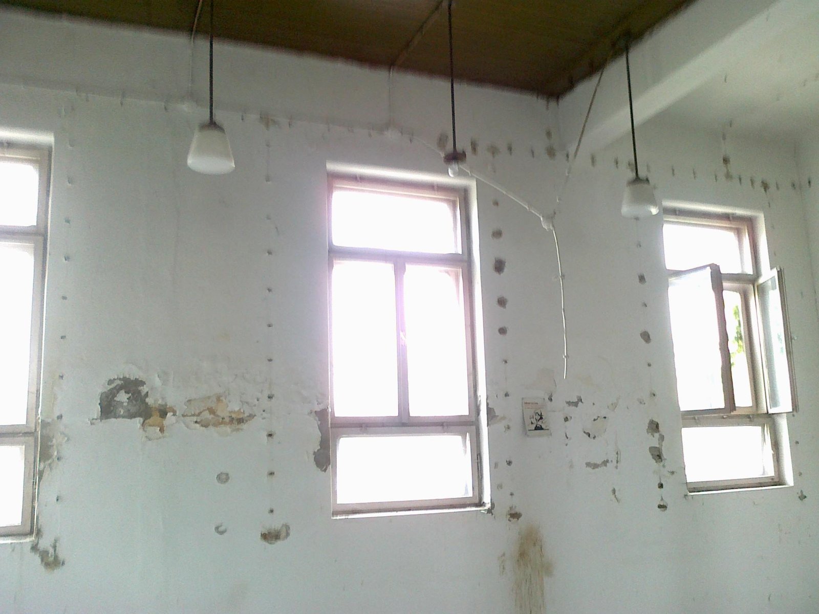 463439843_8784443648243920_3409495486882226619_n