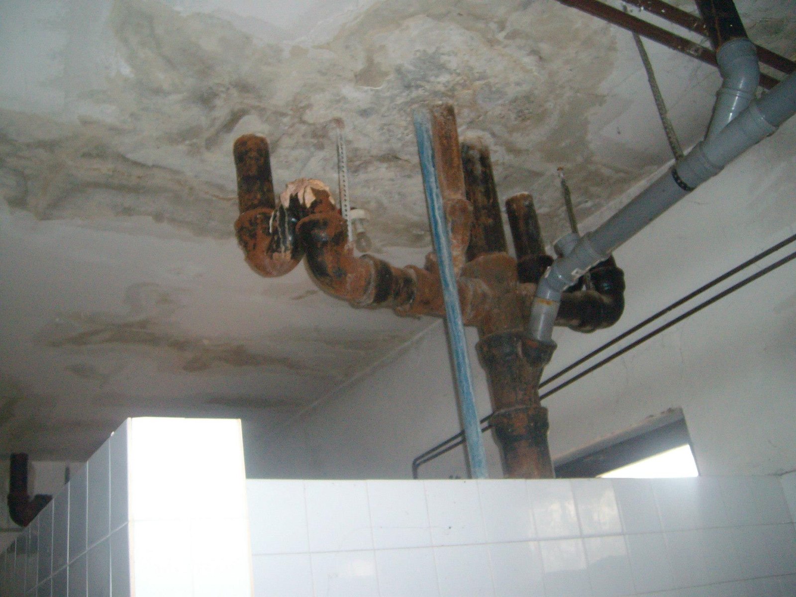 463451668_8778076822213936_366280123547941138_n