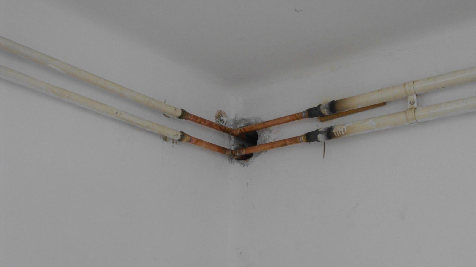 464109735_8819724528049165_4672102027281214998_n