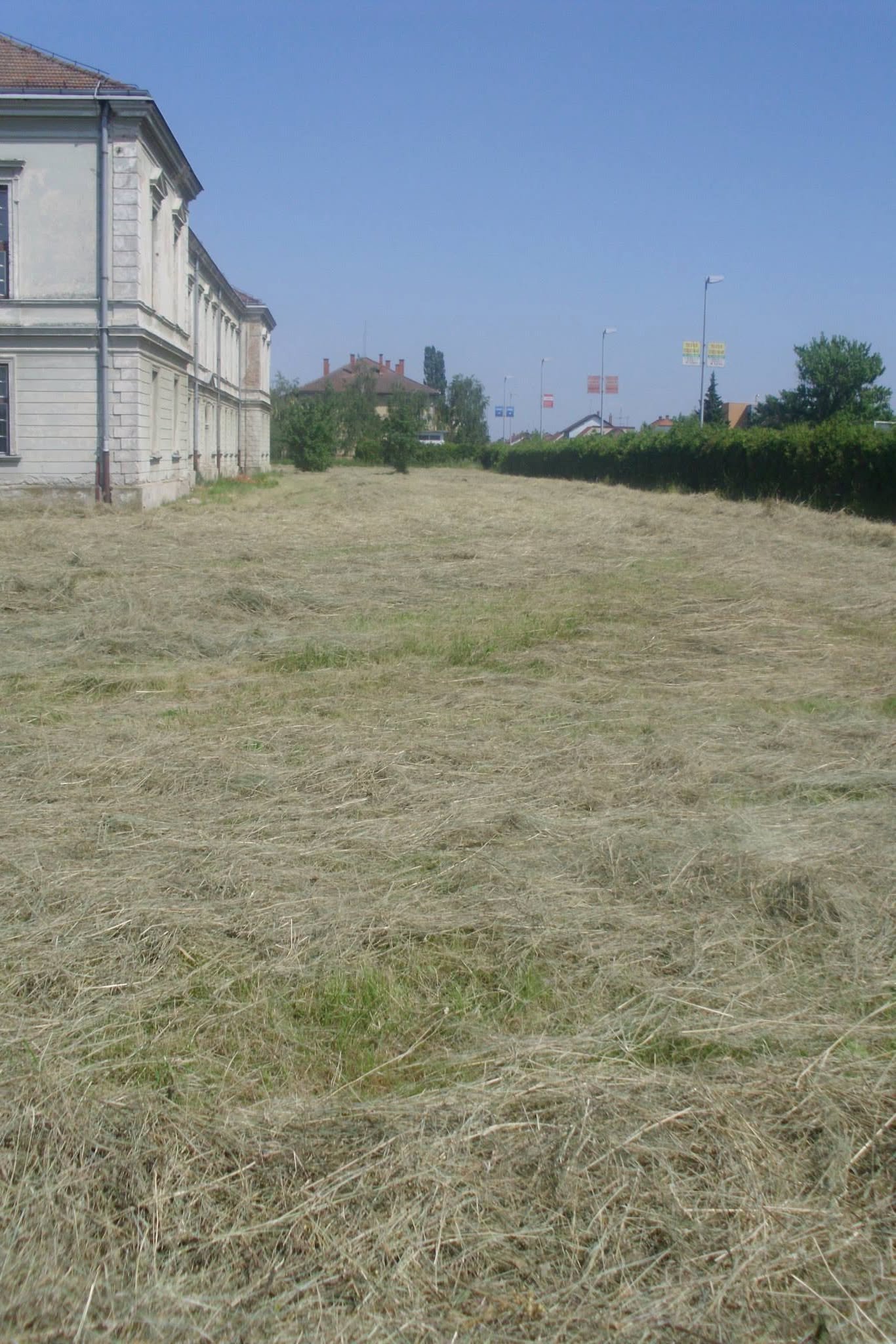 464176284_8821660107855607_8085634293313494730_n