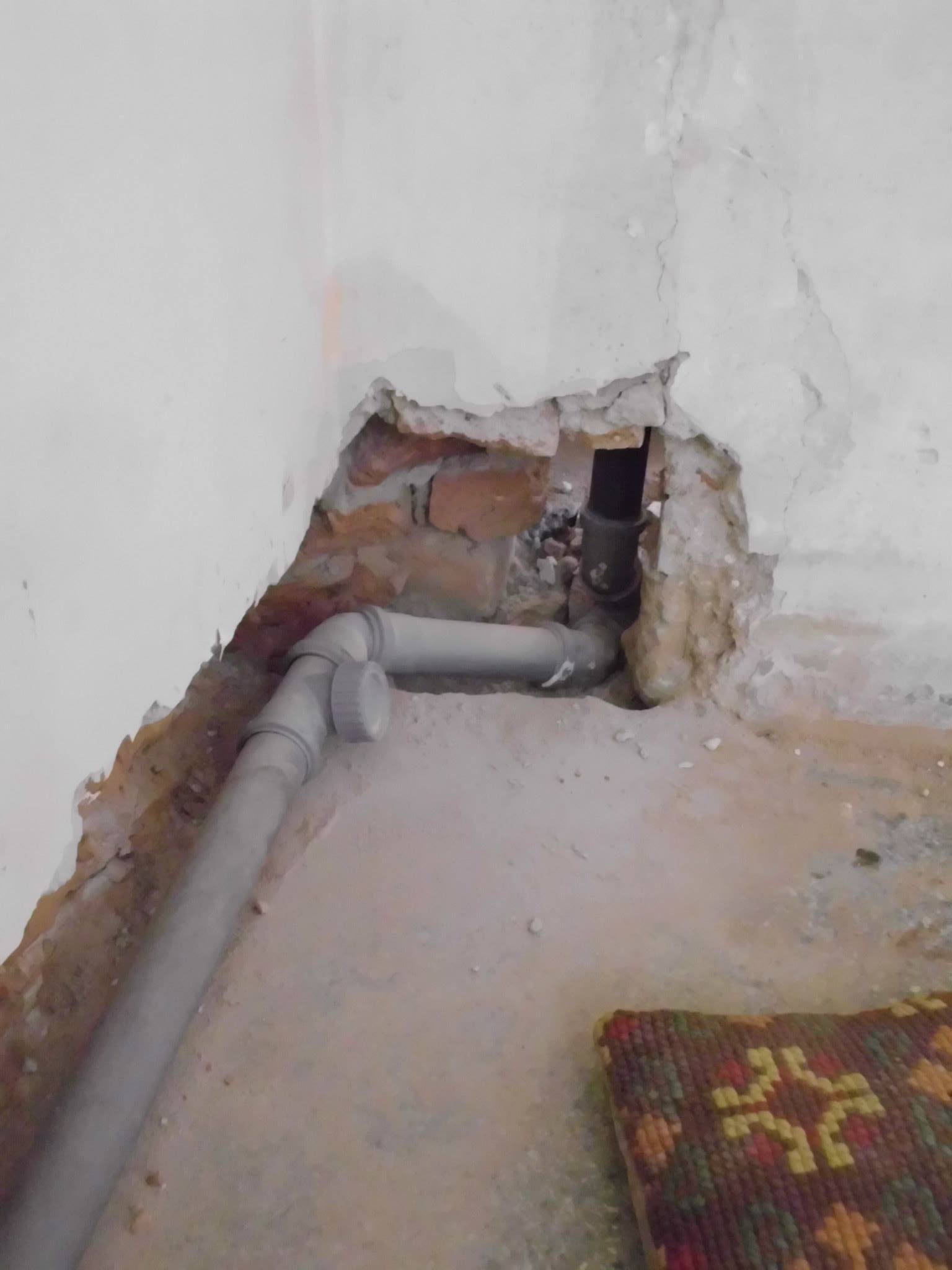 464183245_8815405298481088_8868496358117400213_n