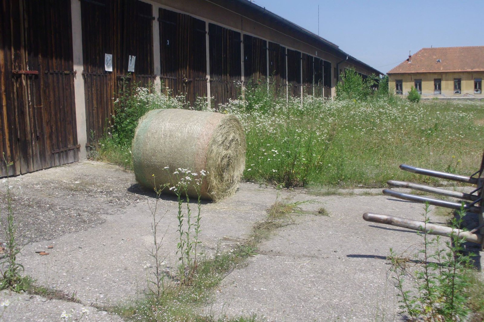 464186196_8821660887855529_3590246240559802643_n