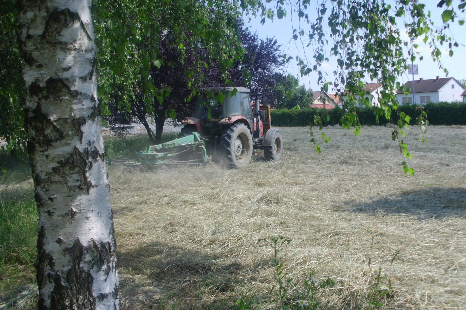 464194385_8821660091188942_1724303351099917557_n