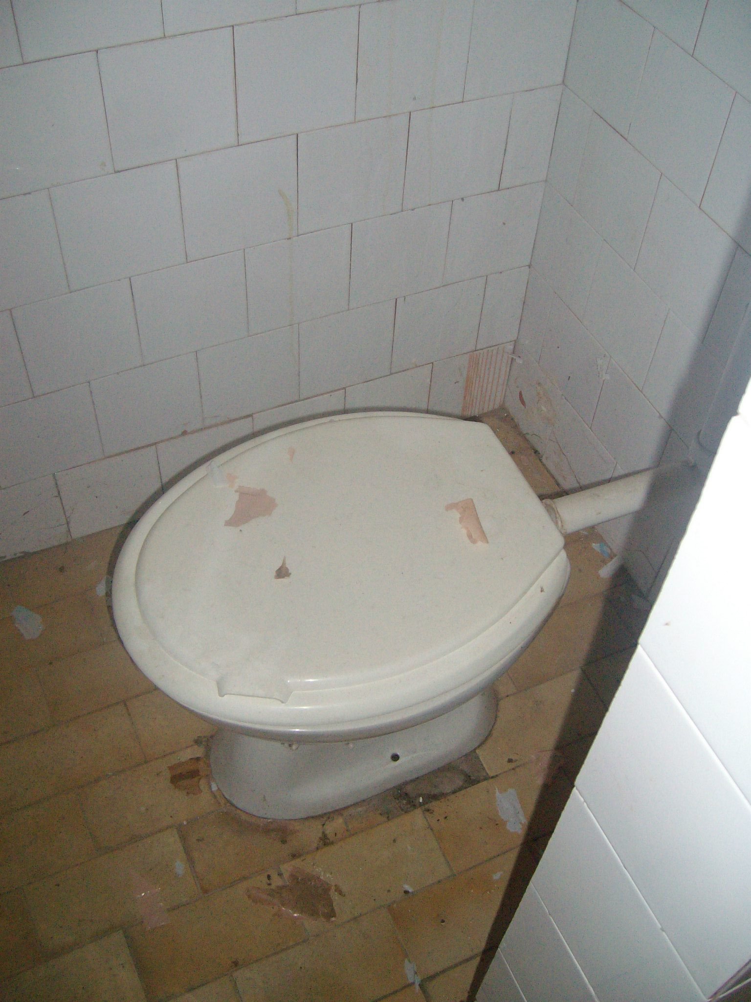 464230082_8831306313557653_1745194193824479992_n