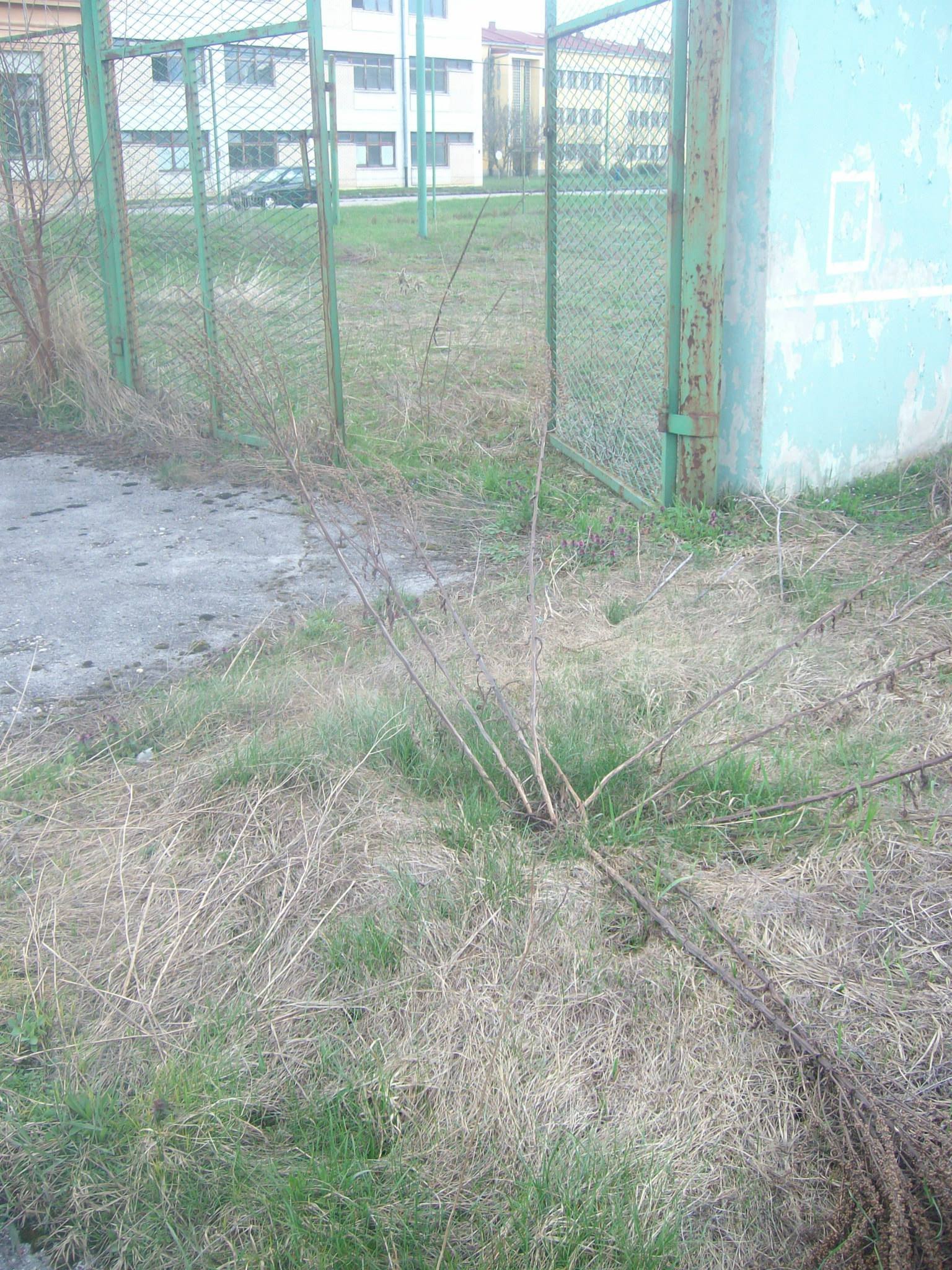 464237605_8831306776890940_5016836473993415026_n