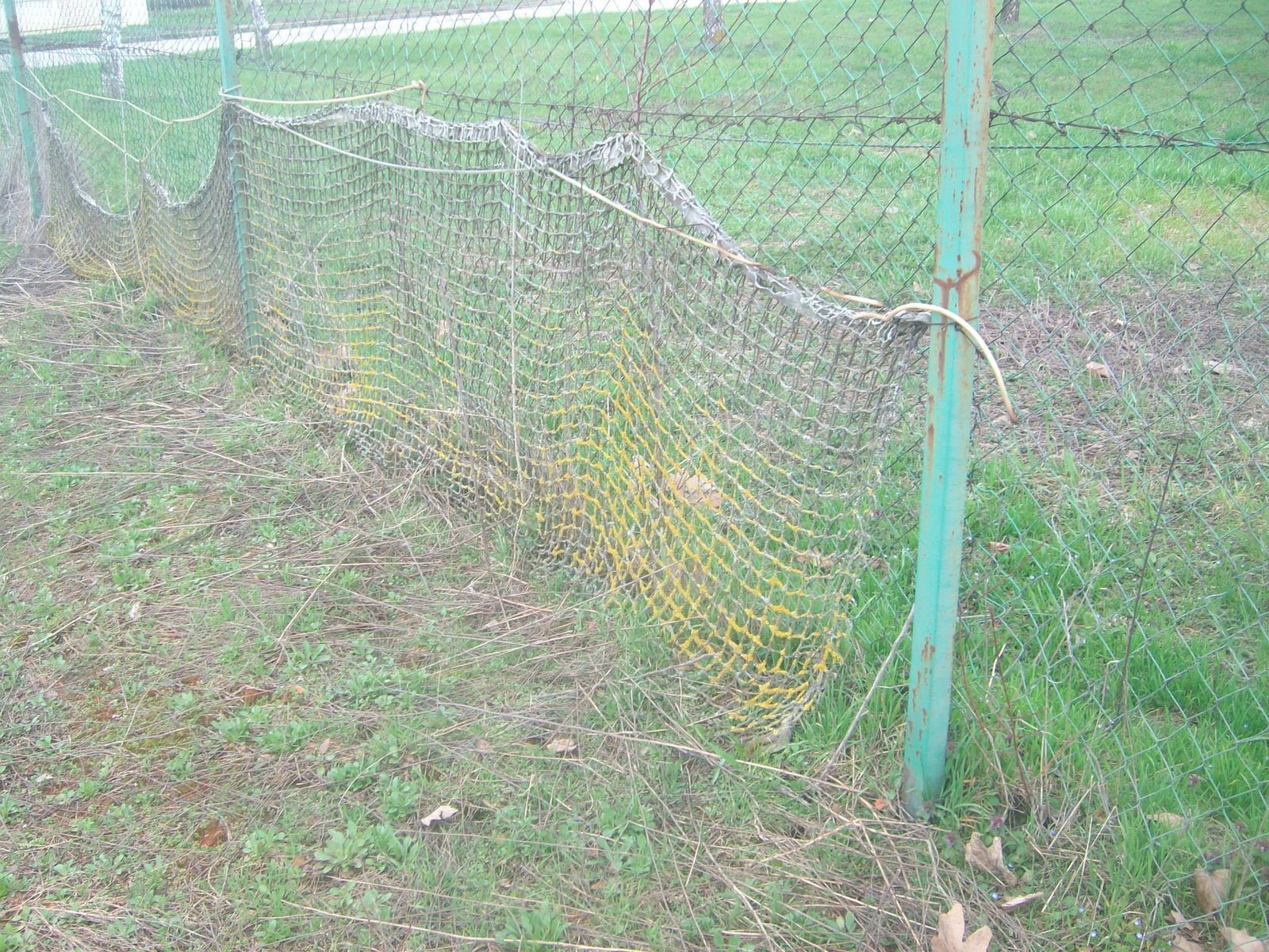 464264146_8831307023557582_78023255541203948_n