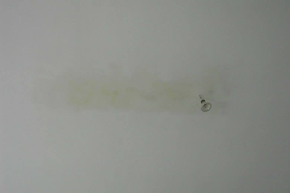 464273511_8832845373403747_2177401577105506113_n