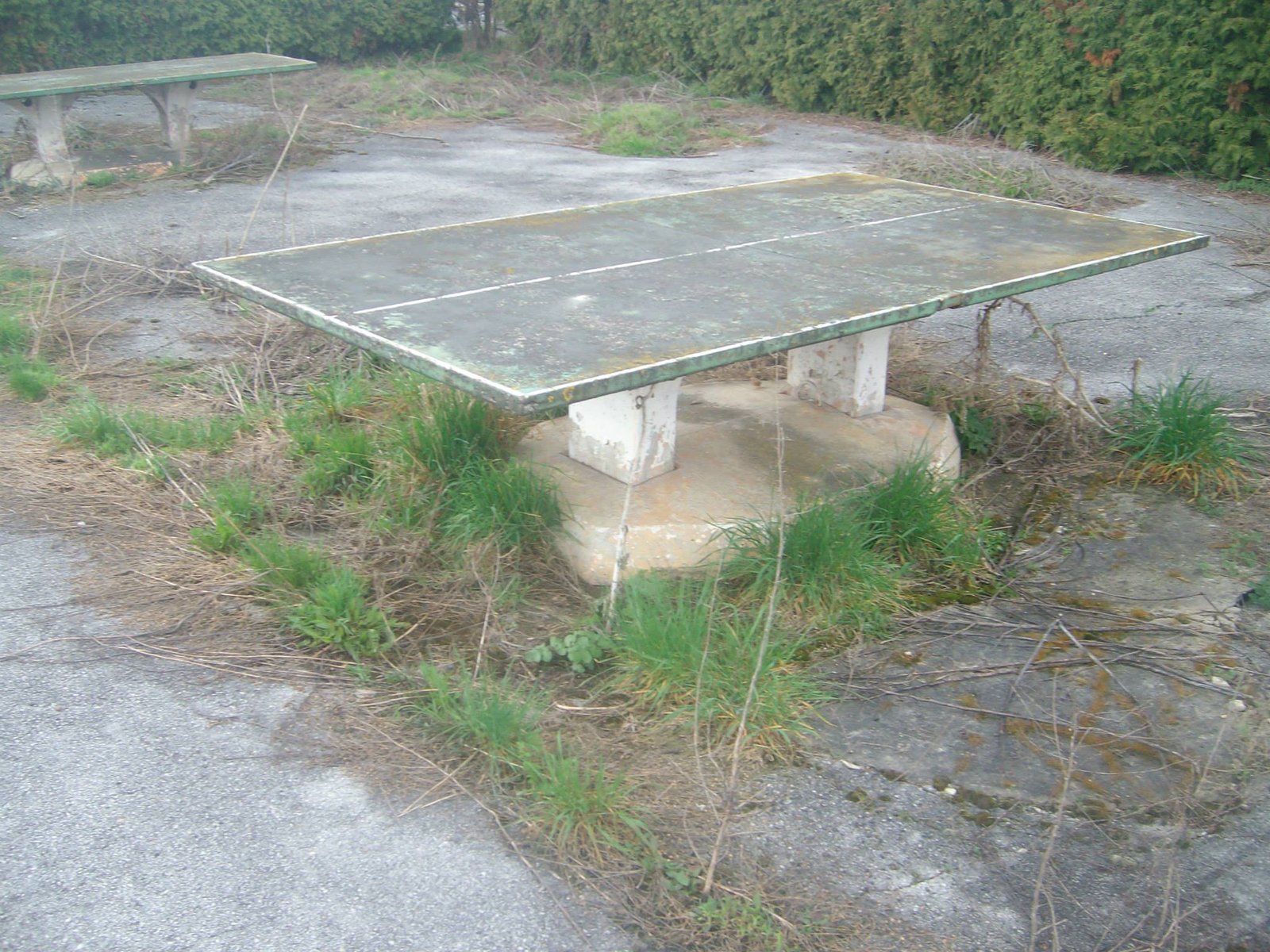 464282284_8831306753557609_7840939283161192011_n