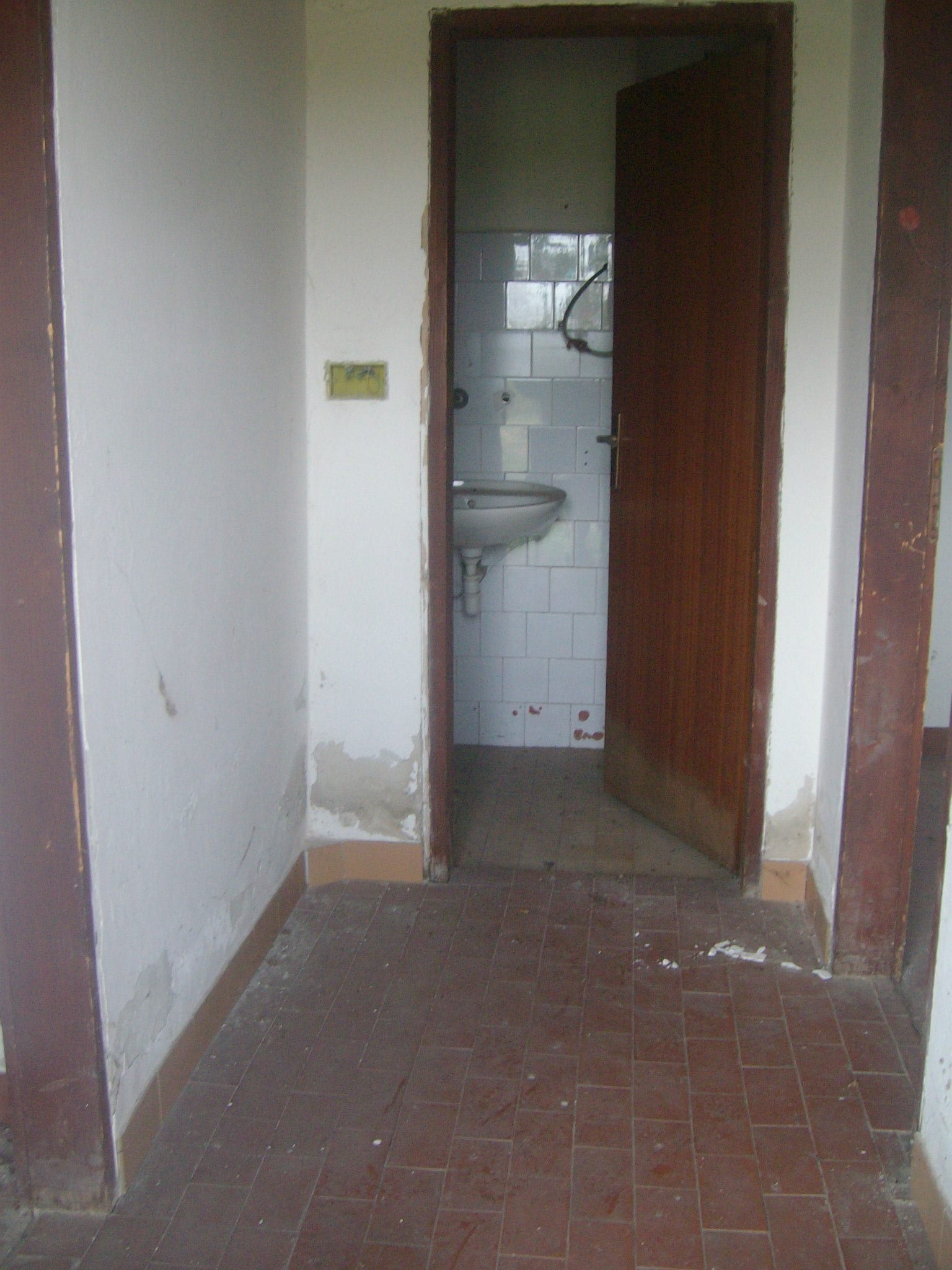 464296414_8831306083557676_6745668182189061042_n