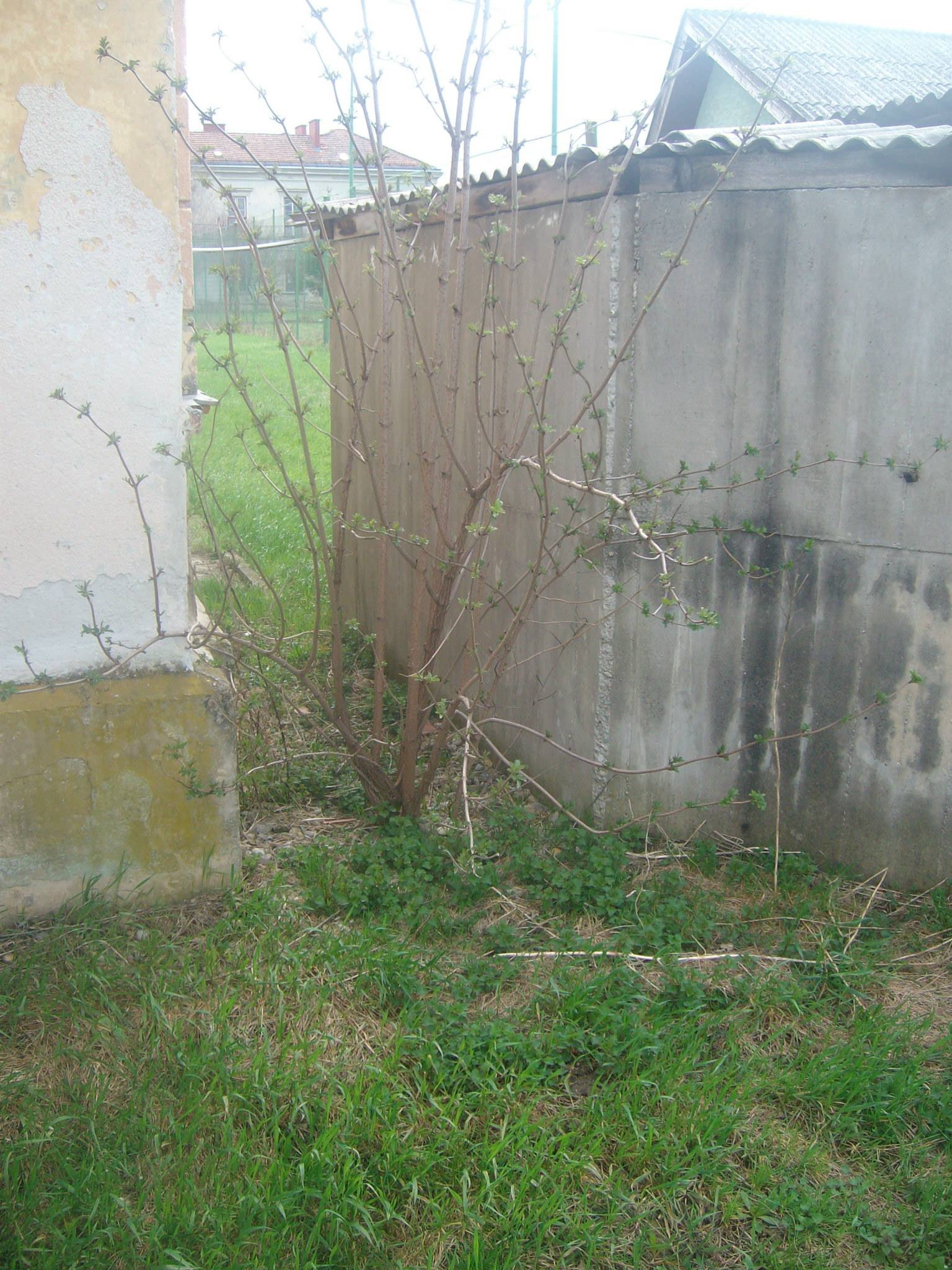 464297347_8831306090224342_1959544577142997953_n