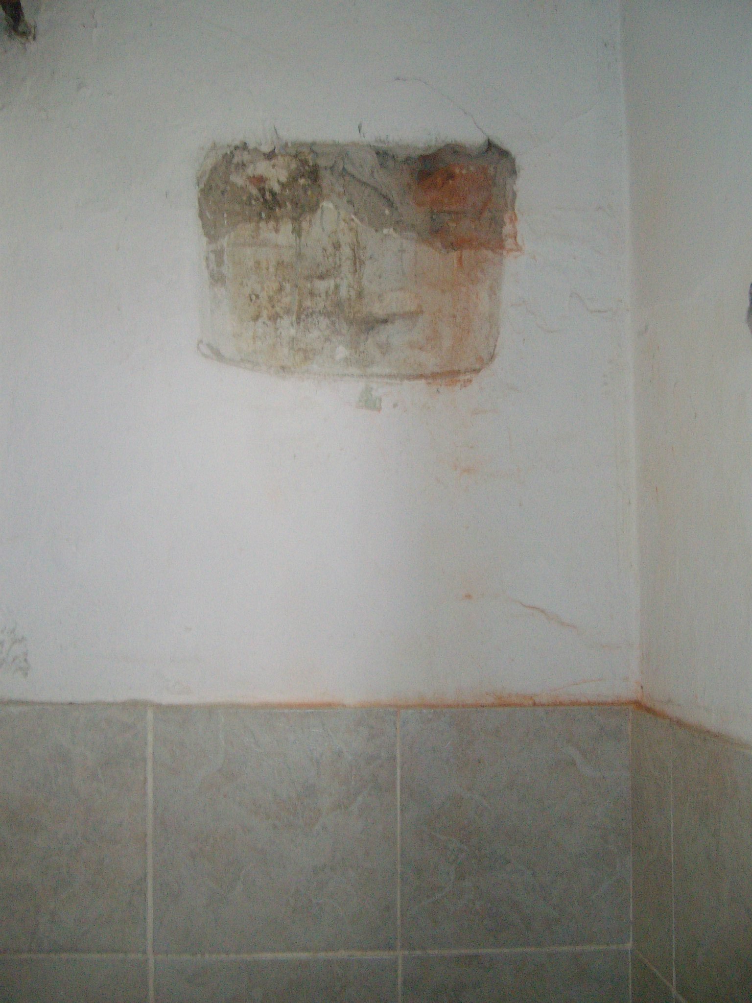 464303083_8831305840224367_4594046062416248235_n