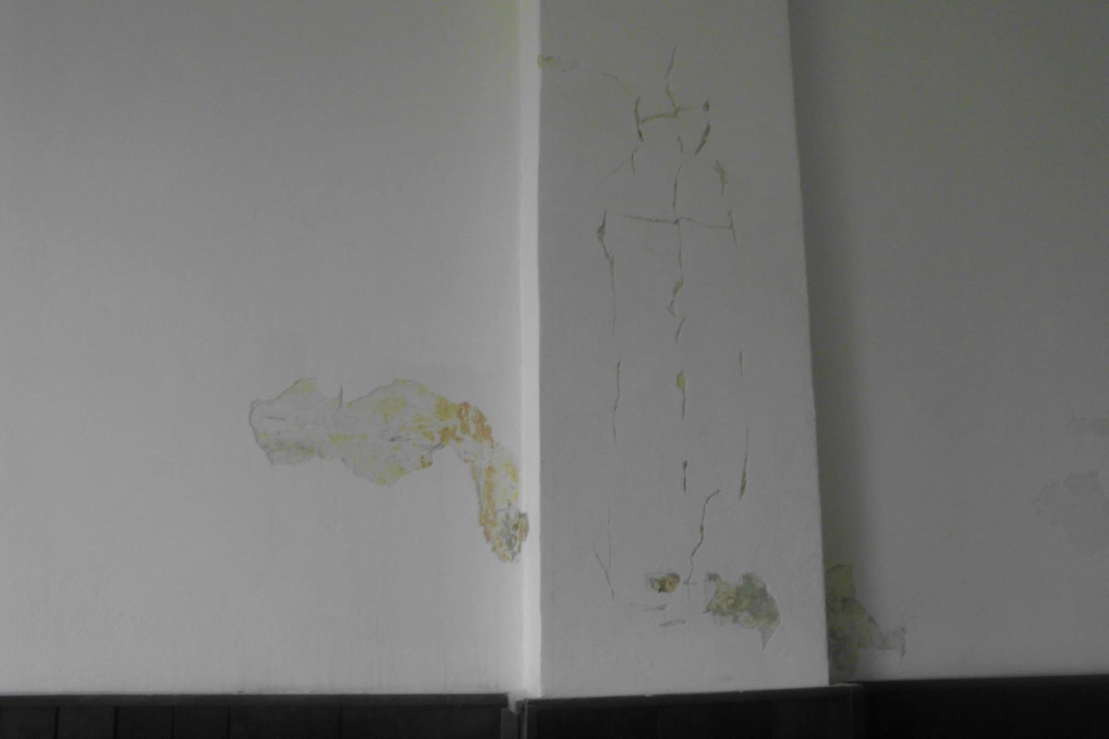 464304135_8832847163403568_323718474325851879_n