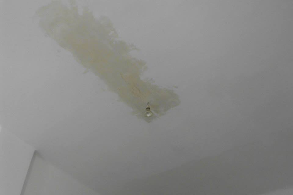 464314538_8832845173403767_1341565274668892999_n