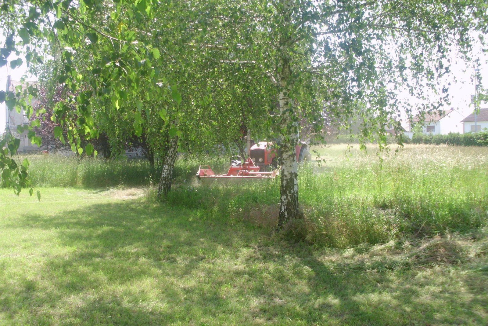 464320294_8821659881188963_6300052820685858338_n