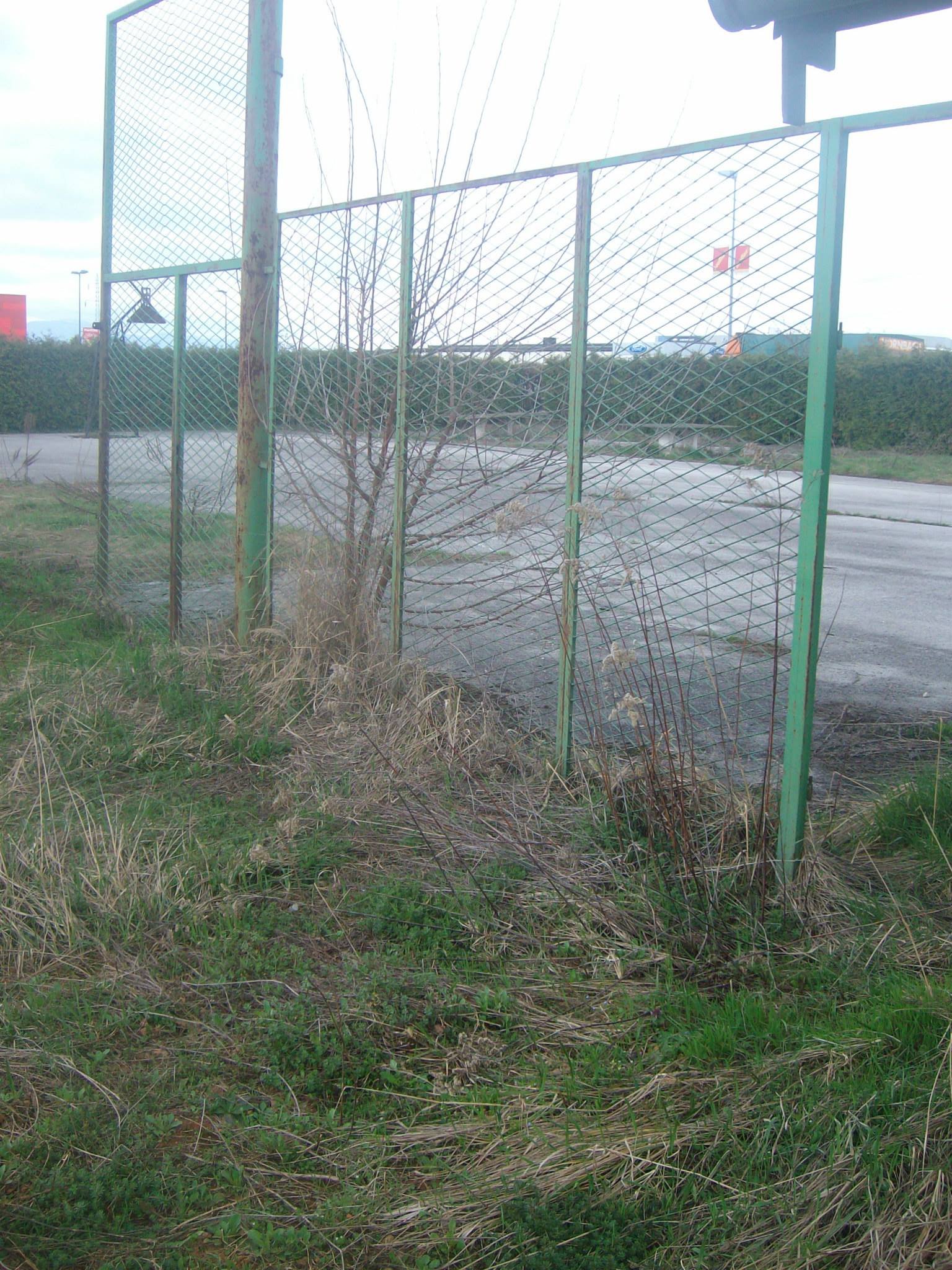 464323515_8831306763557608_2070857269810195695_n