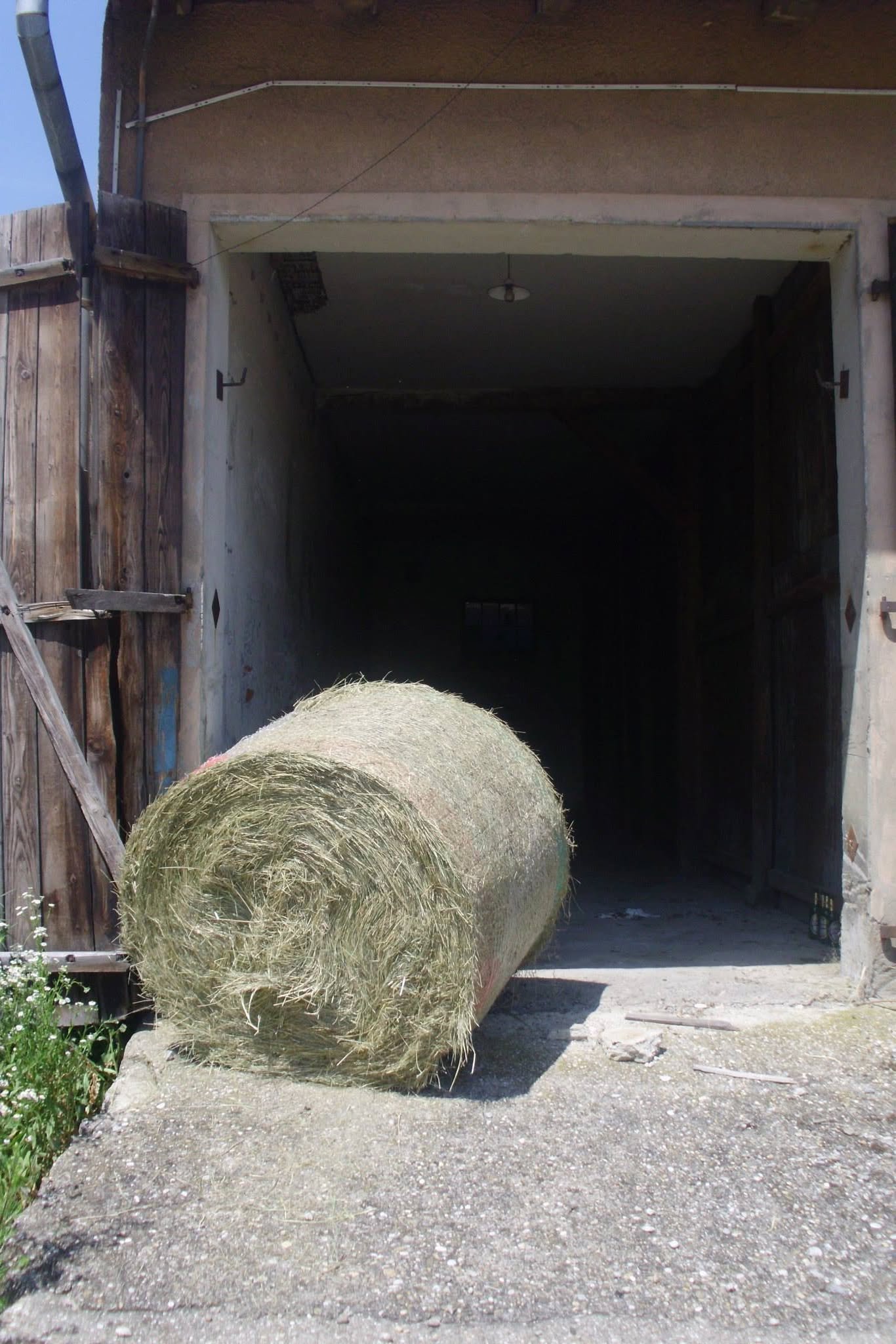 464329098_8821660641188887_5046330273256511407_n