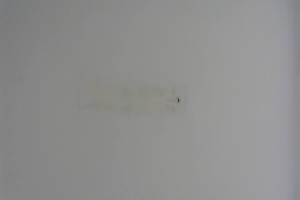 464329749_8832947980060153_6742735909897995525_n