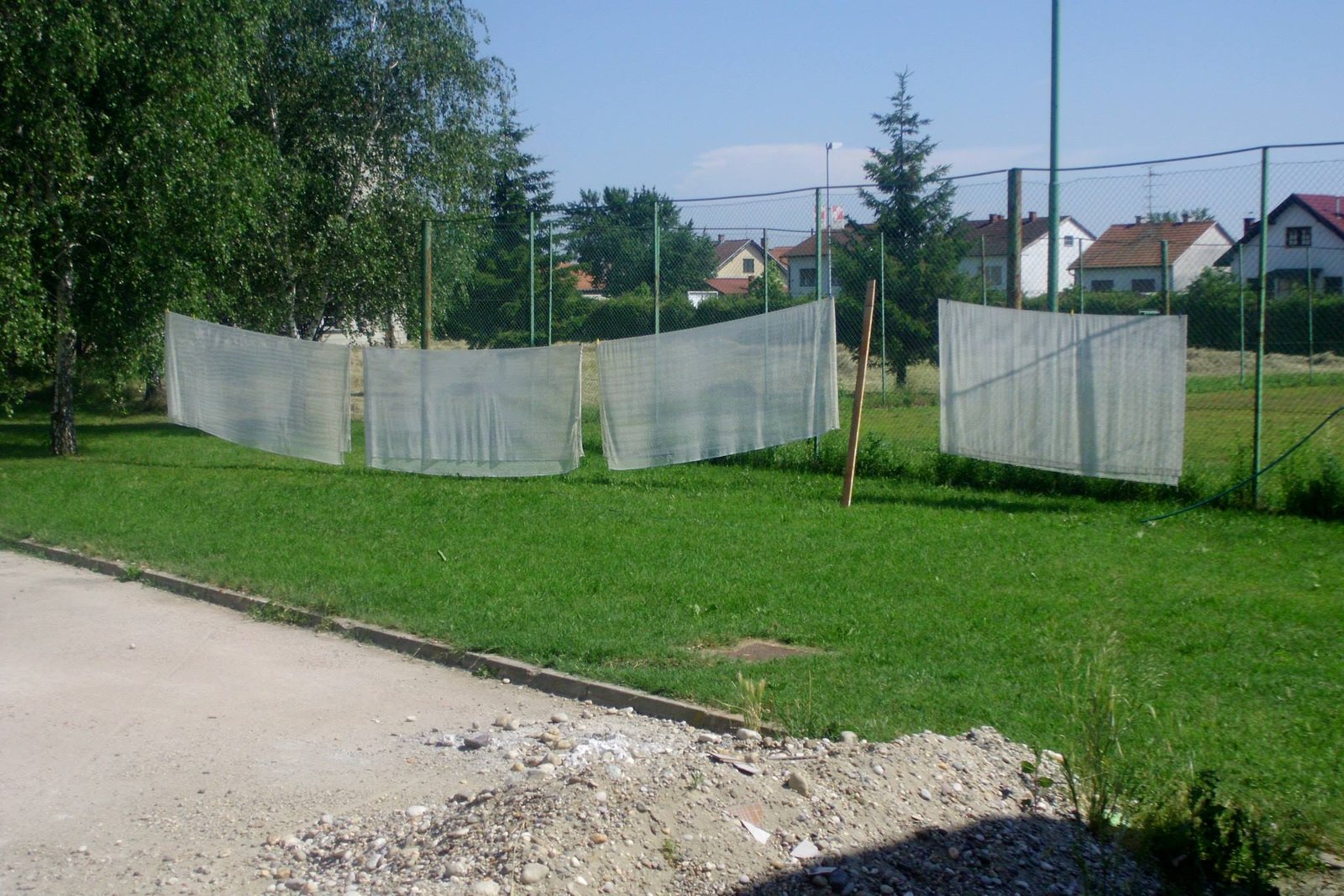 464339634_8821661901188761_7277167725709381591_n