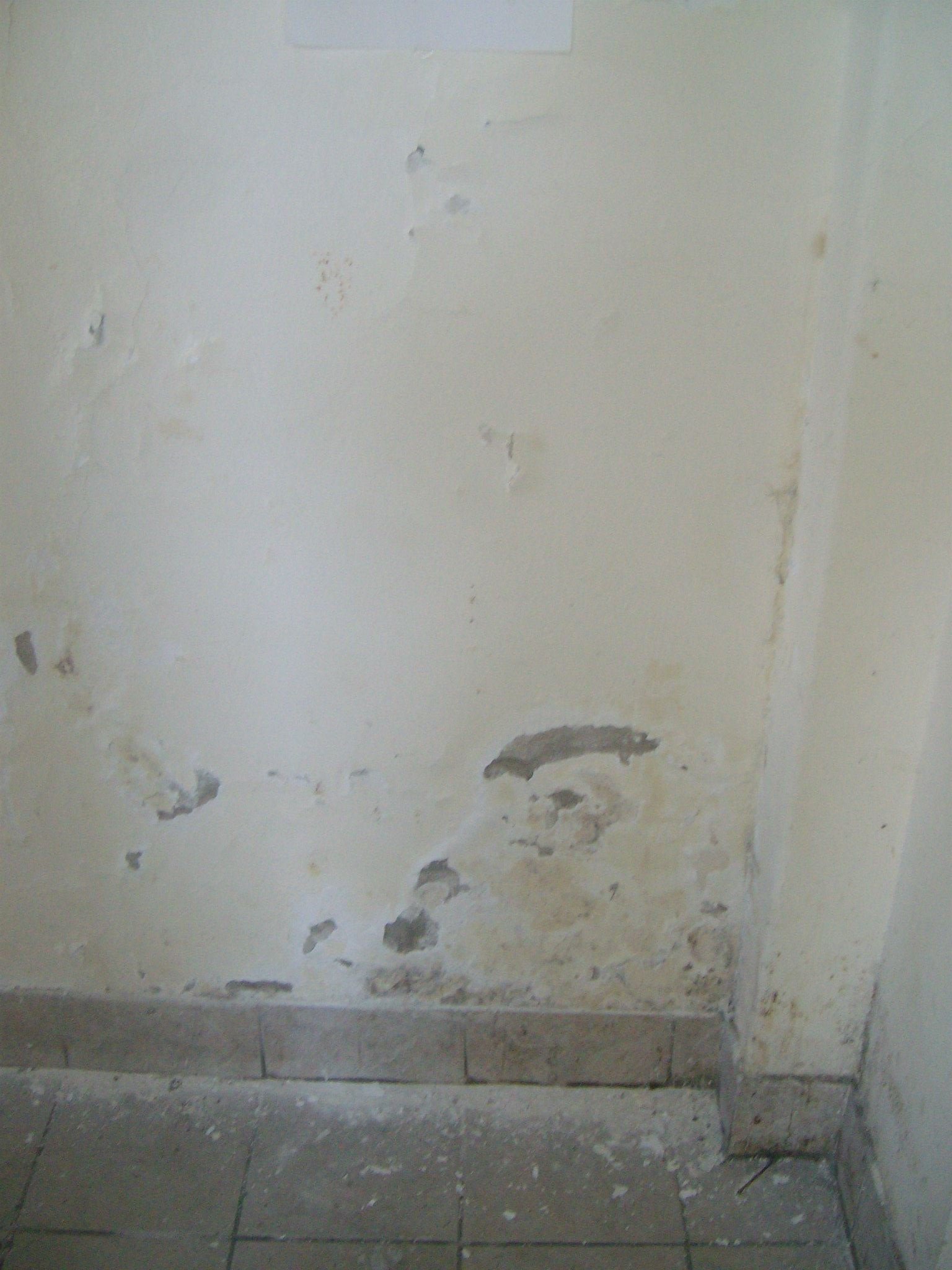 464340293_8831305823557702_4528218338856584677_n