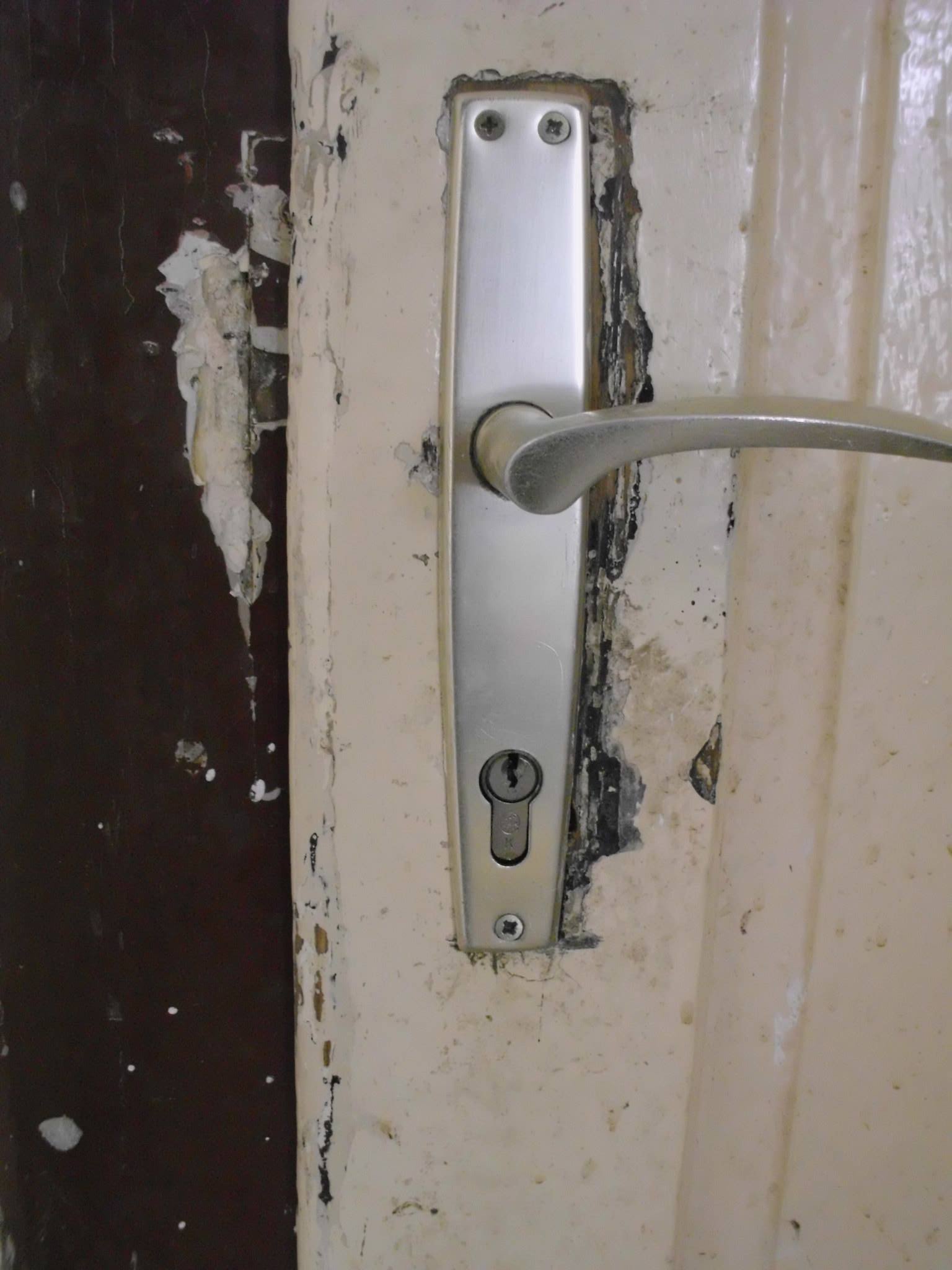 464353913_8831307940224157_771046304893112088_n