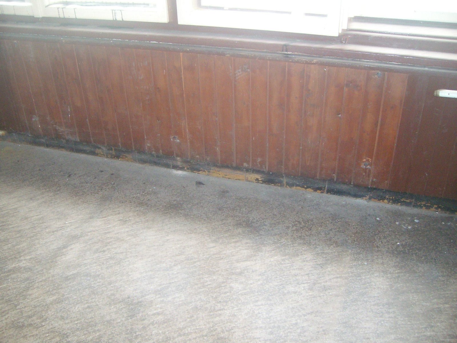 464383393_8831305326891085_313127407892100116_n